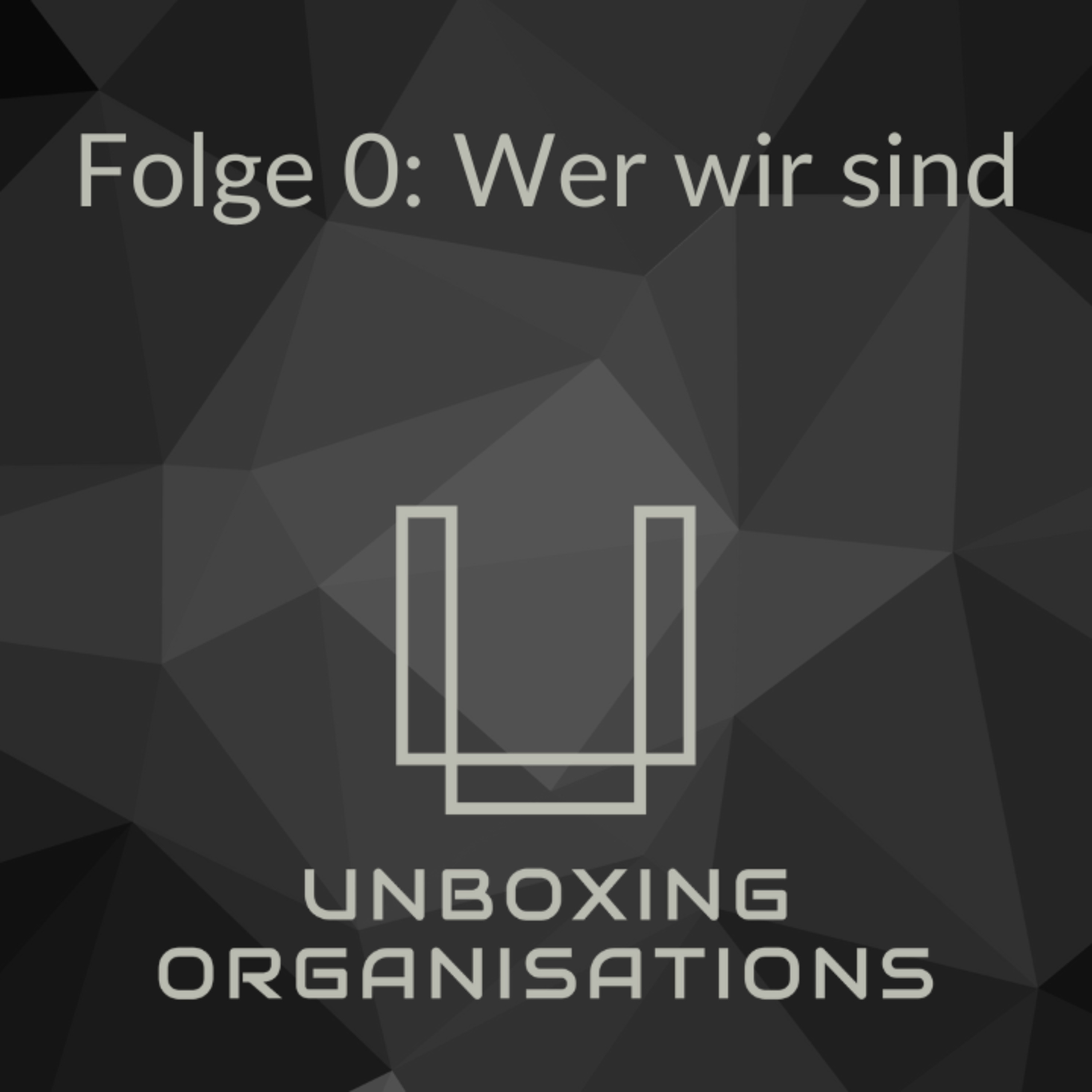 Unboxing Organisations