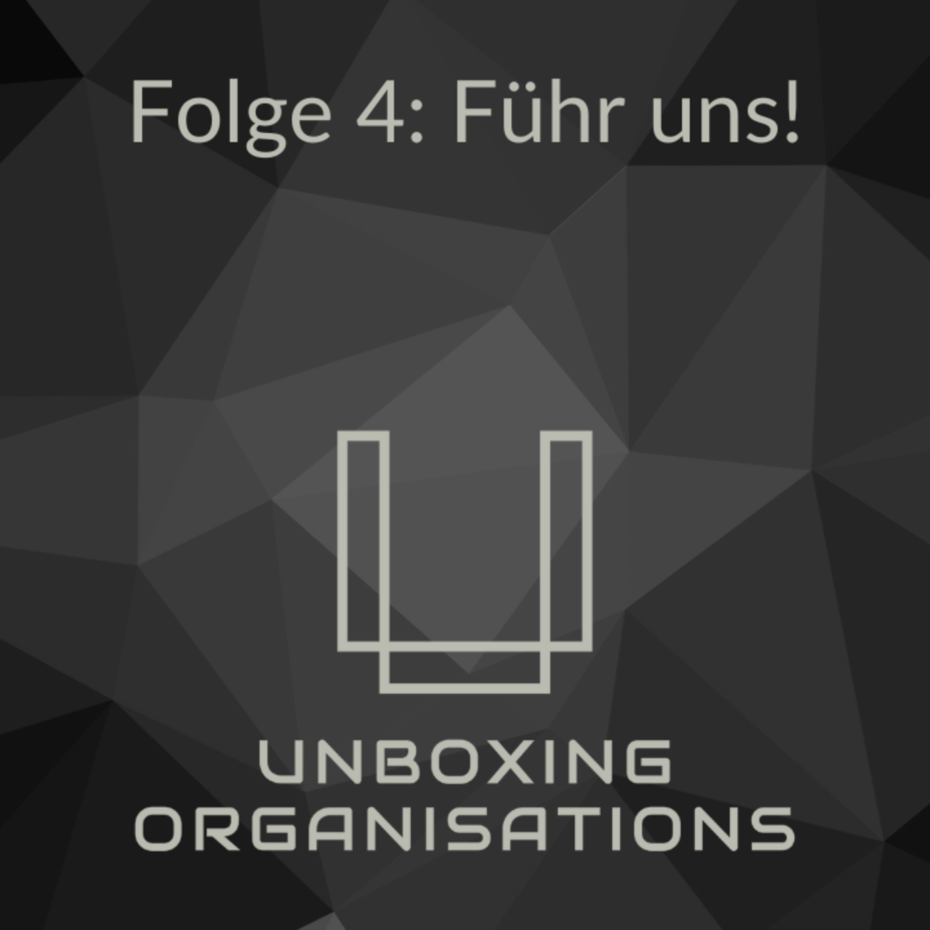 Unboxing Organisations