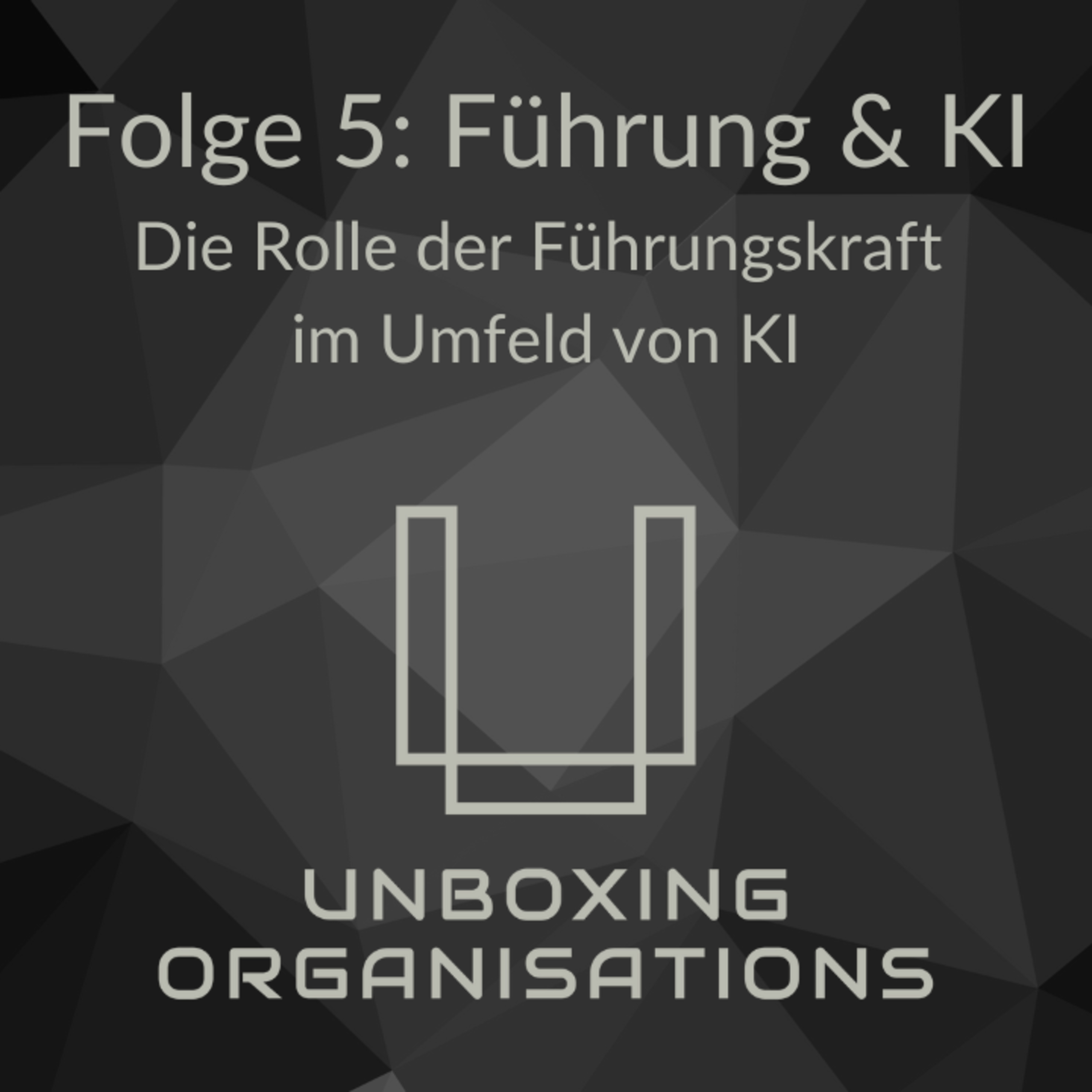Unboxing Organisations