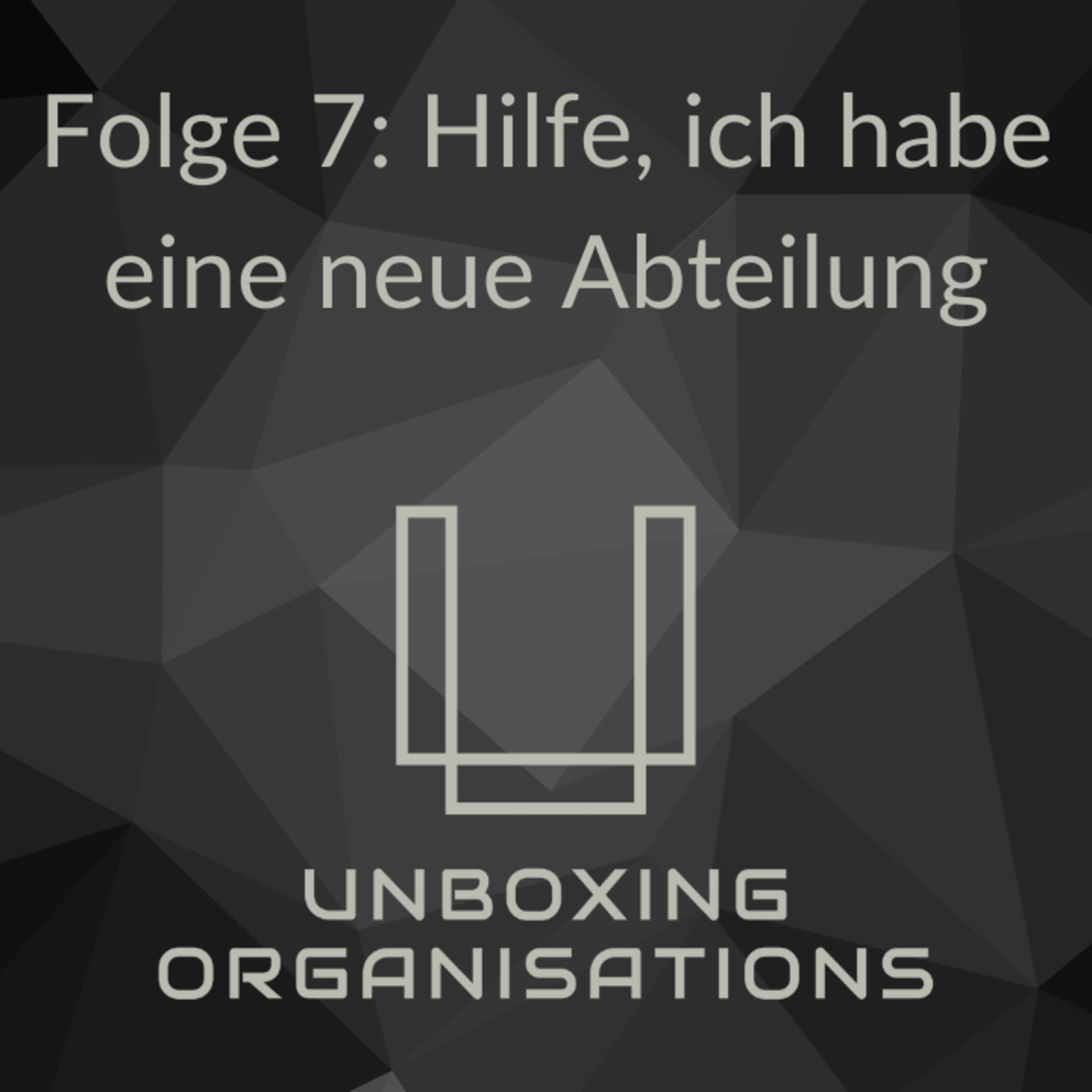 Unboxing Organisations