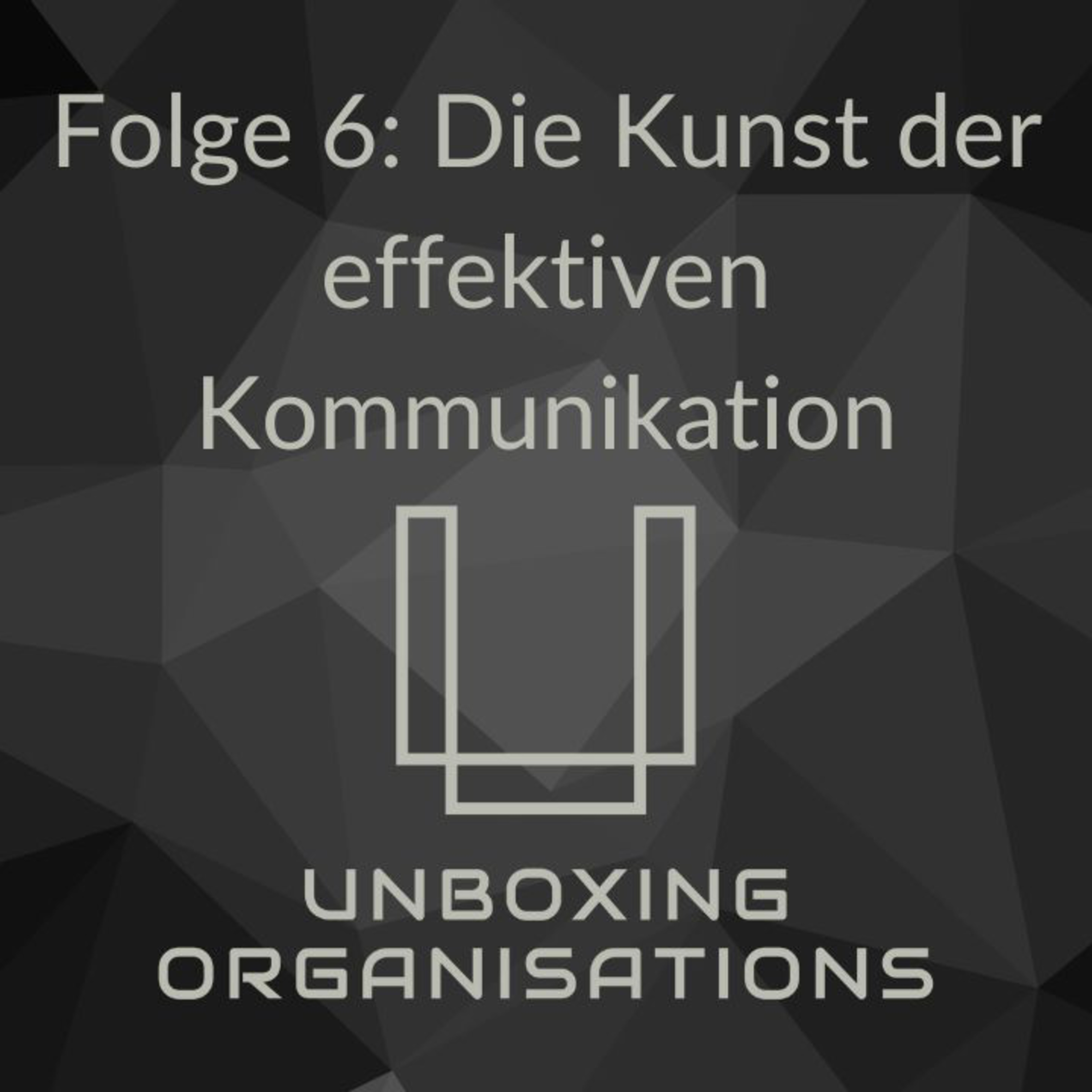 Unboxing Organisations