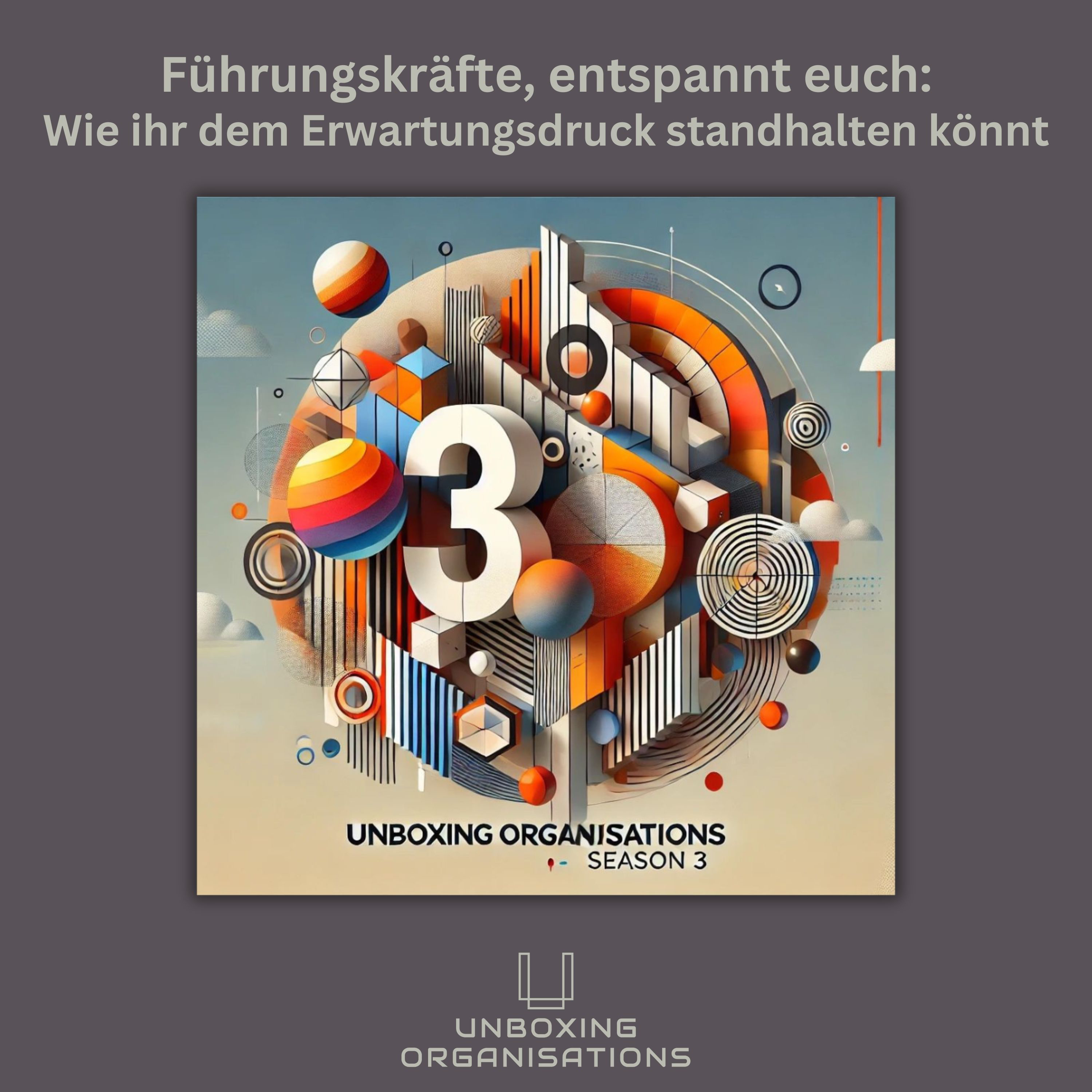 Unboxing Organisations