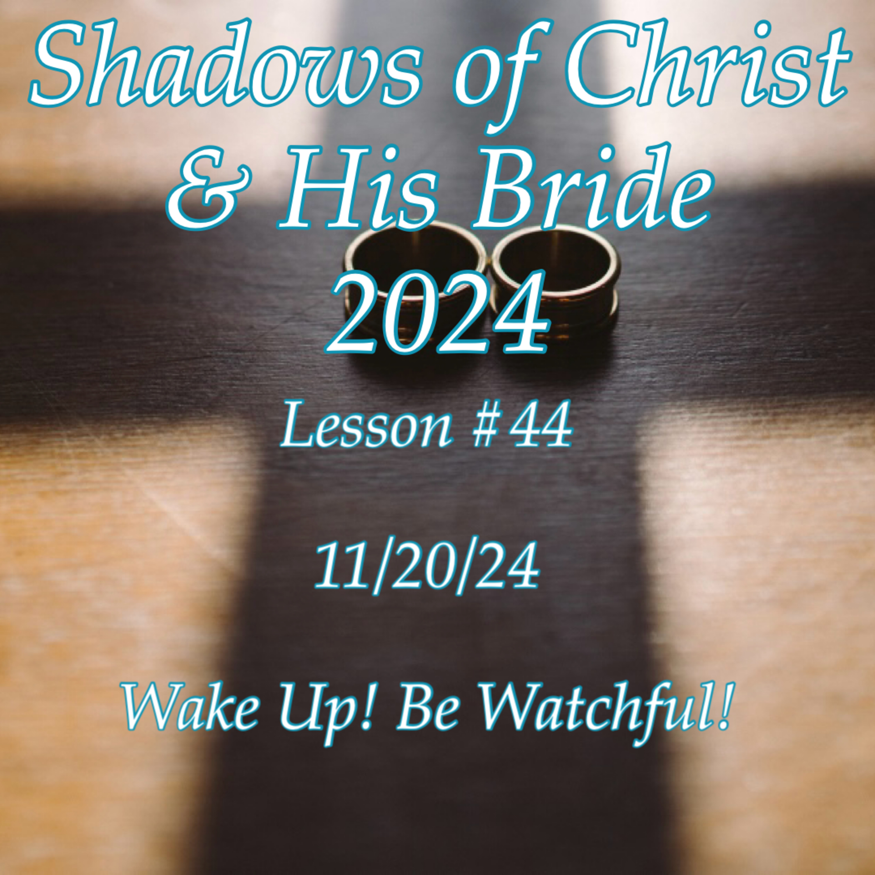 Come Grow With Me Online