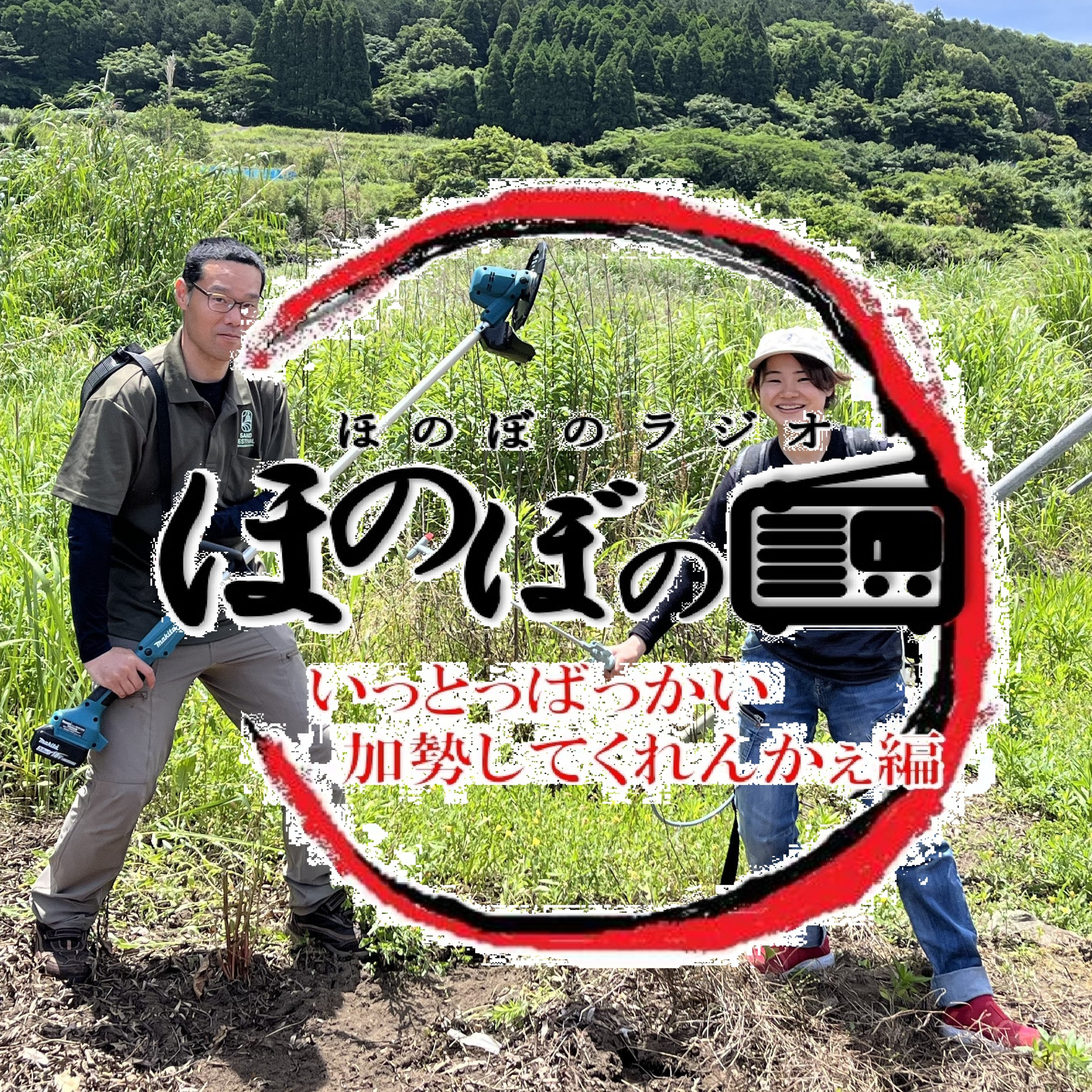 南さつま市地域おこし協力隊 「加勢と感心」 episode artwork