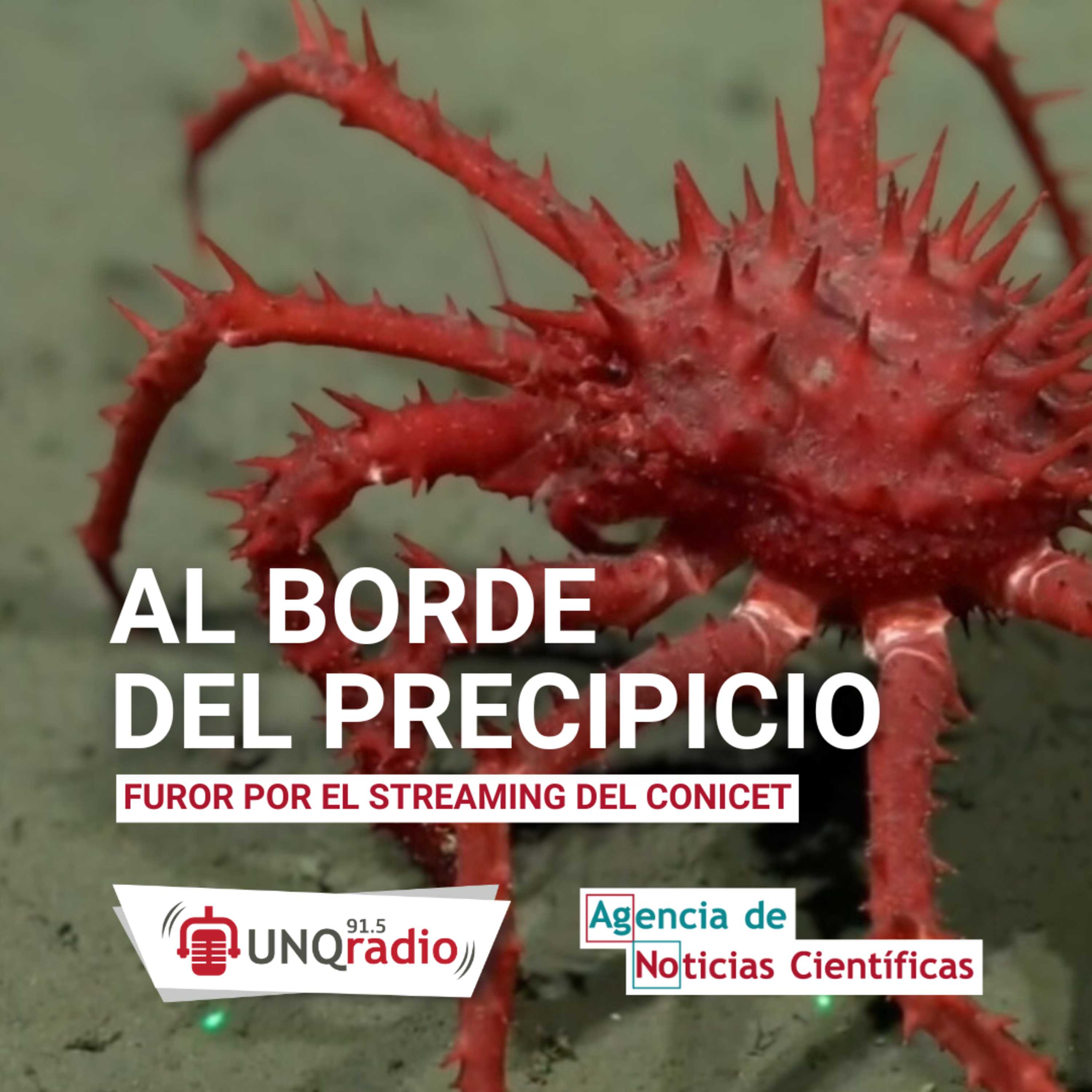 Programa 63 | Al borde del precipicio: furor por el streaming del CONICET episode artwork