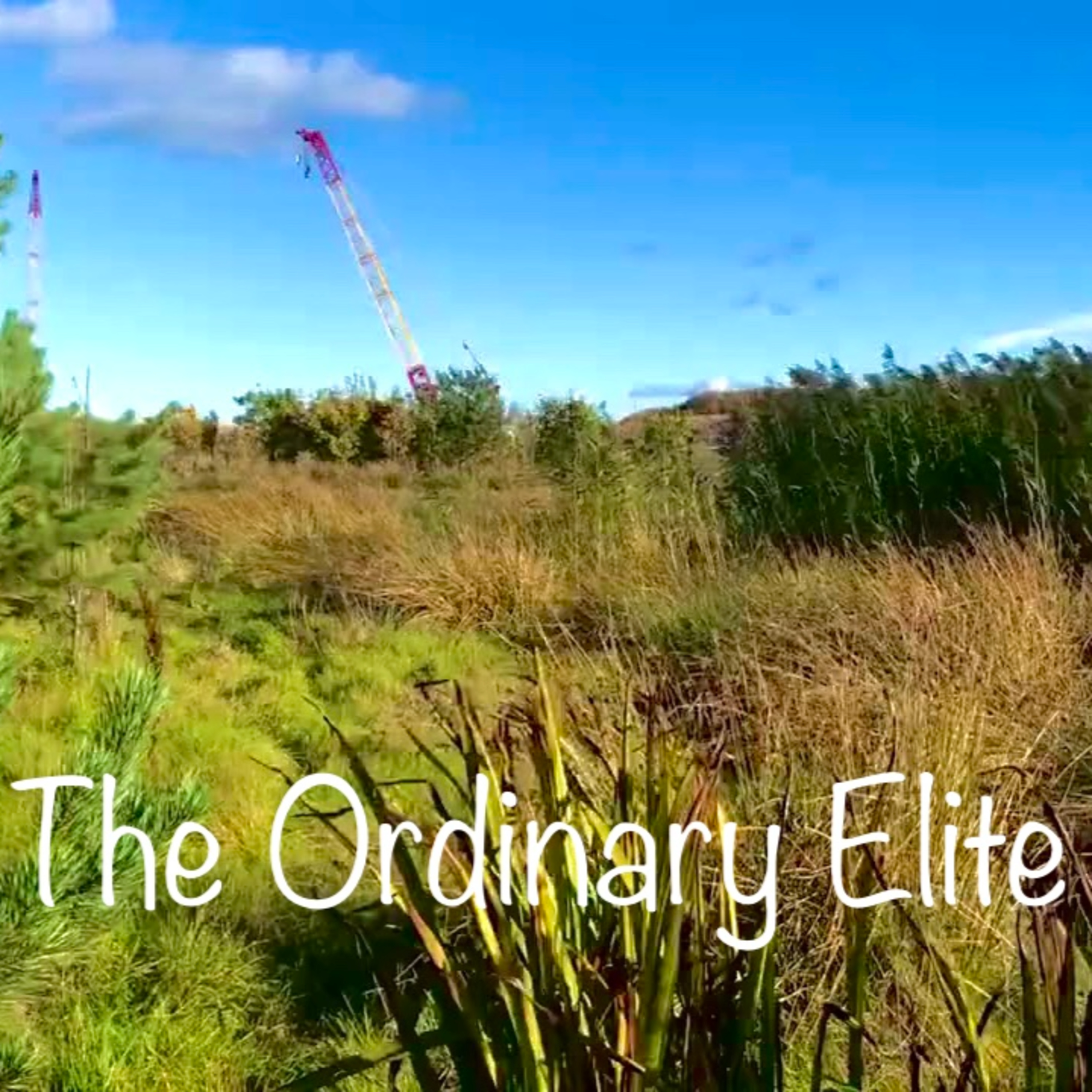 The Ordinary Elite - Episode 10 - David v. Goliath: Environmental justice in Scotland episode artwork