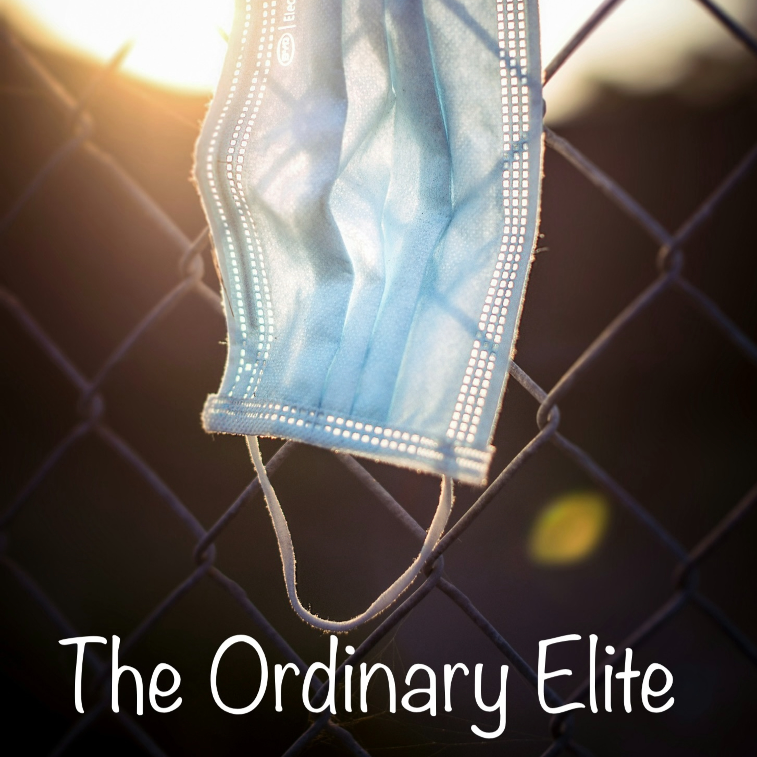 The Ordinary Elite - Episode 2 - The UK Covid Inquiry in Edinburgh  episode artwork
