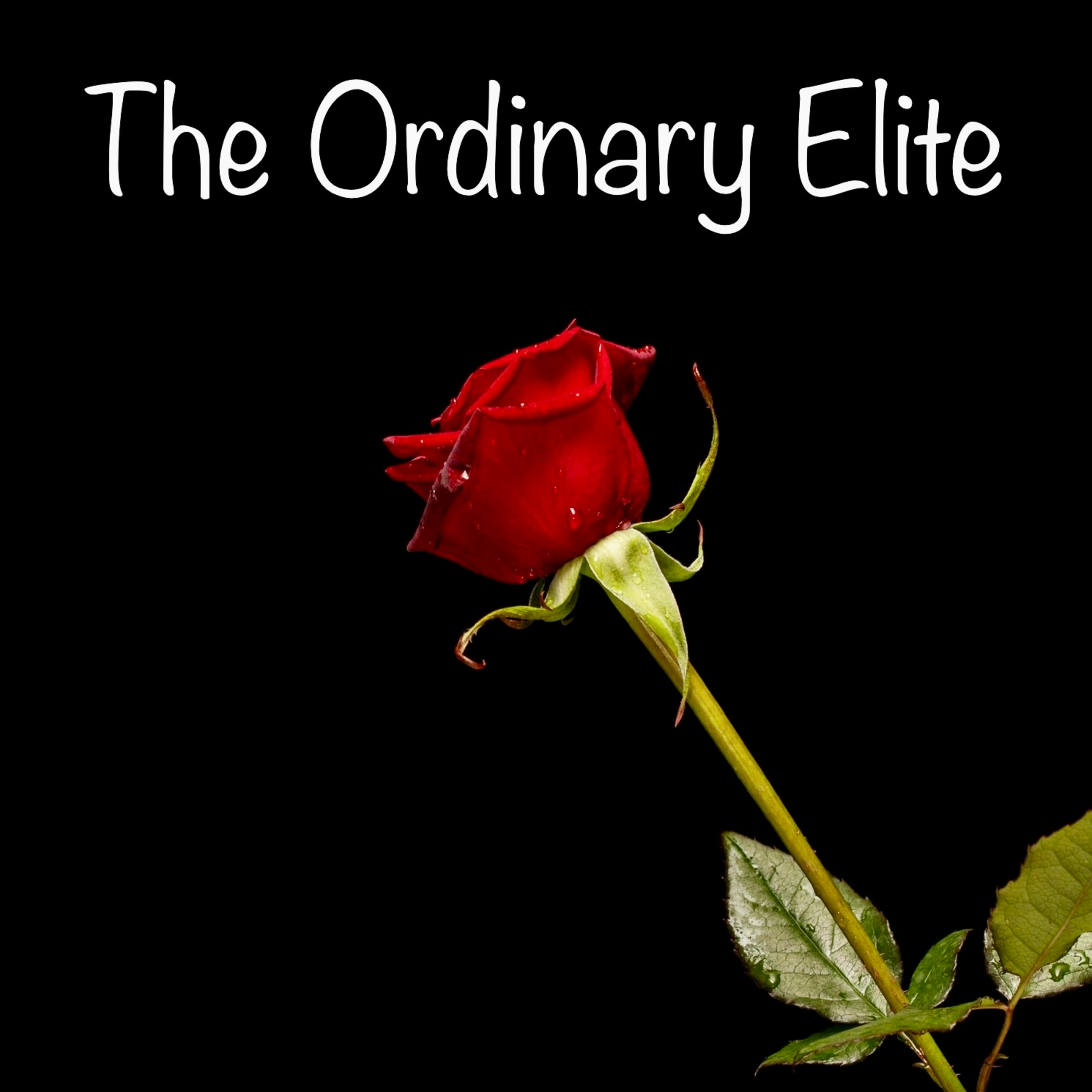 The Ordinary Elite