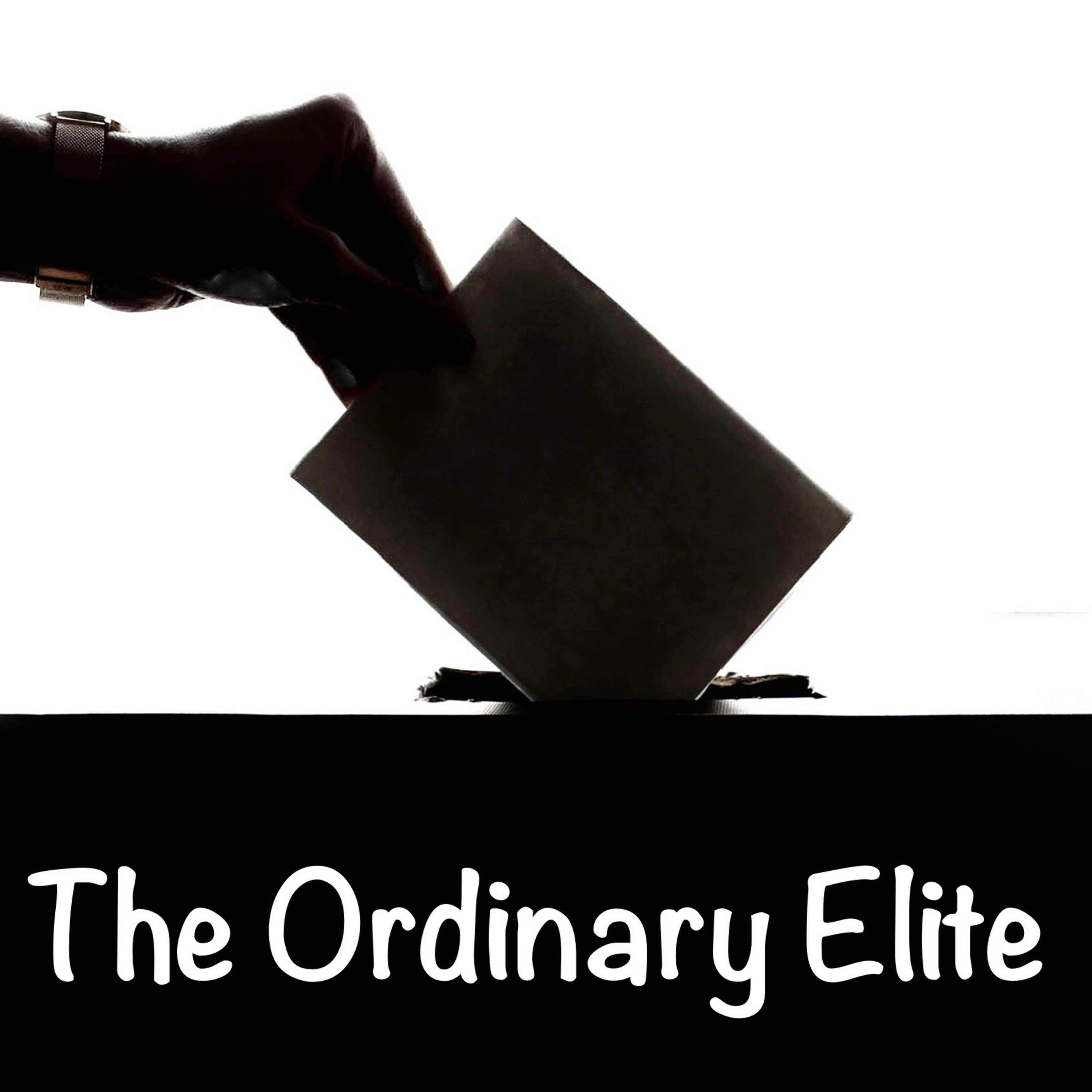 The Ordinary Elite - Episode 15 - Wings over Scotland  episode artwork
