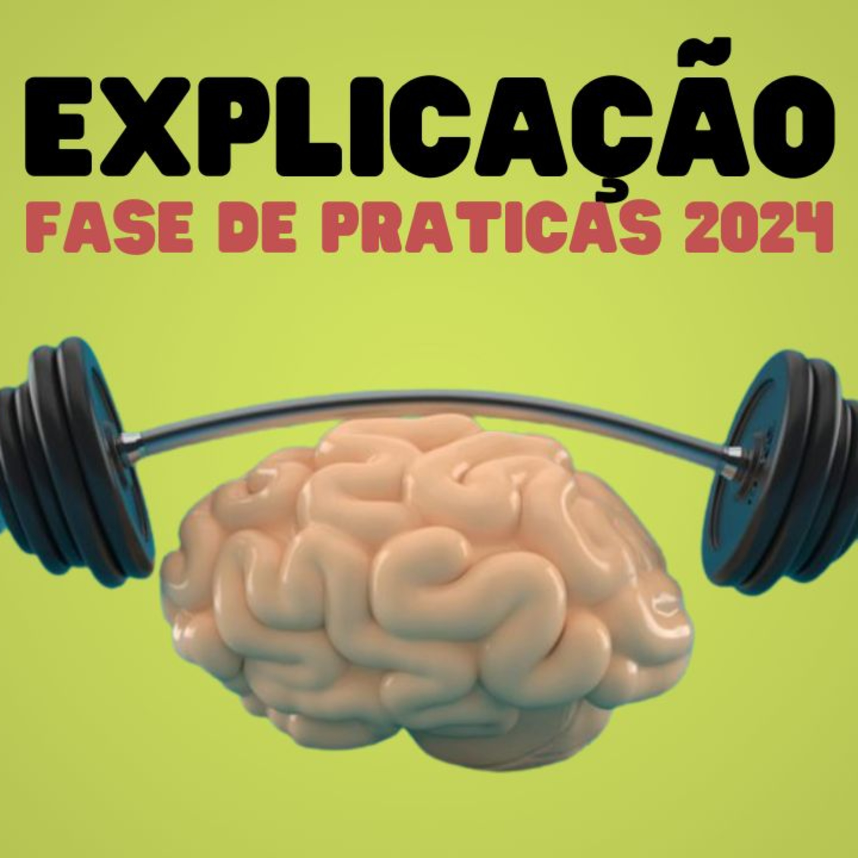 @ FDP | Explicação | Fase de práticas 2024 | 1ficina | Autociência episode artwork