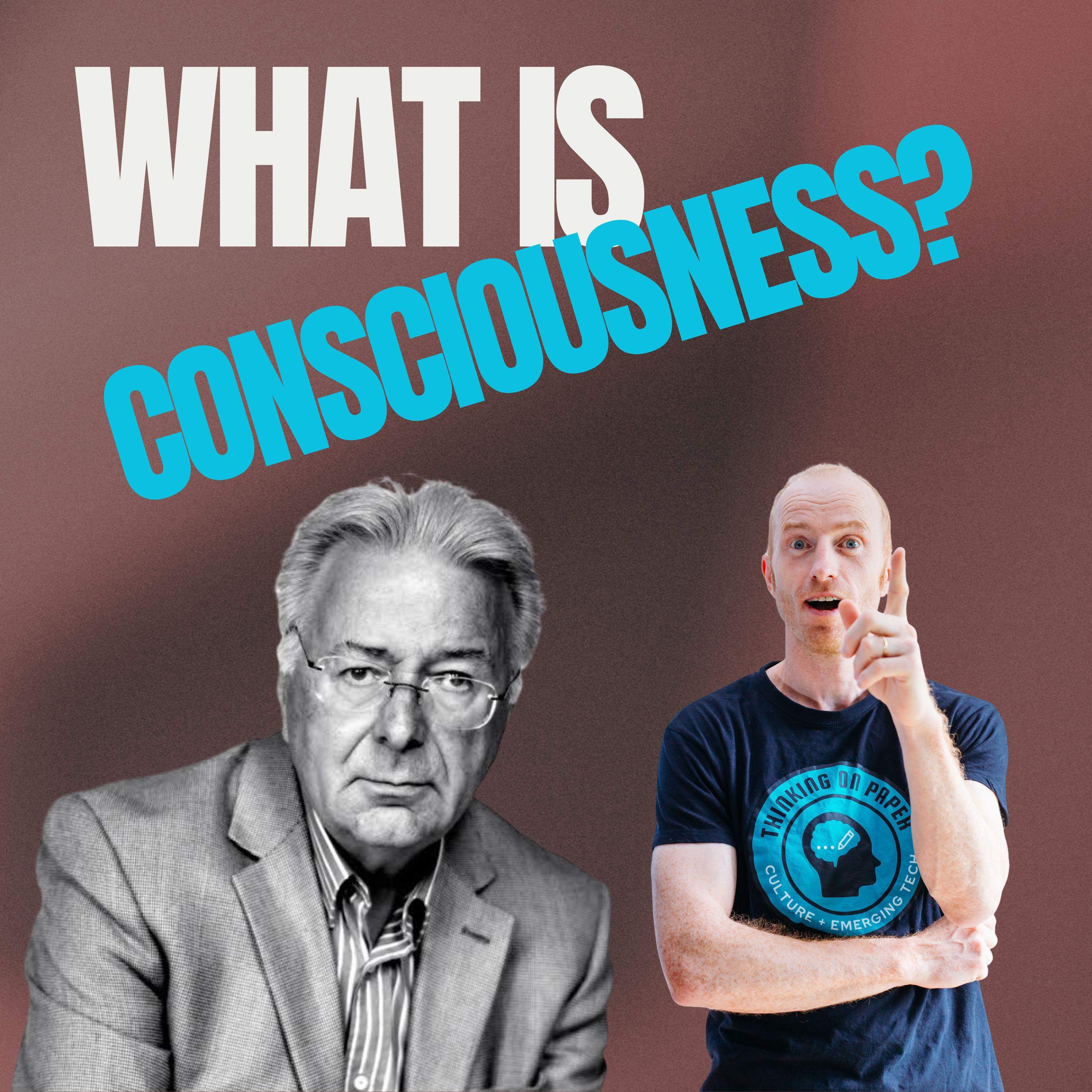 Quantum Actors: Probability, Consciousness, and Reality | Federico Faggin - Irreducible Book Club, Chapter 12