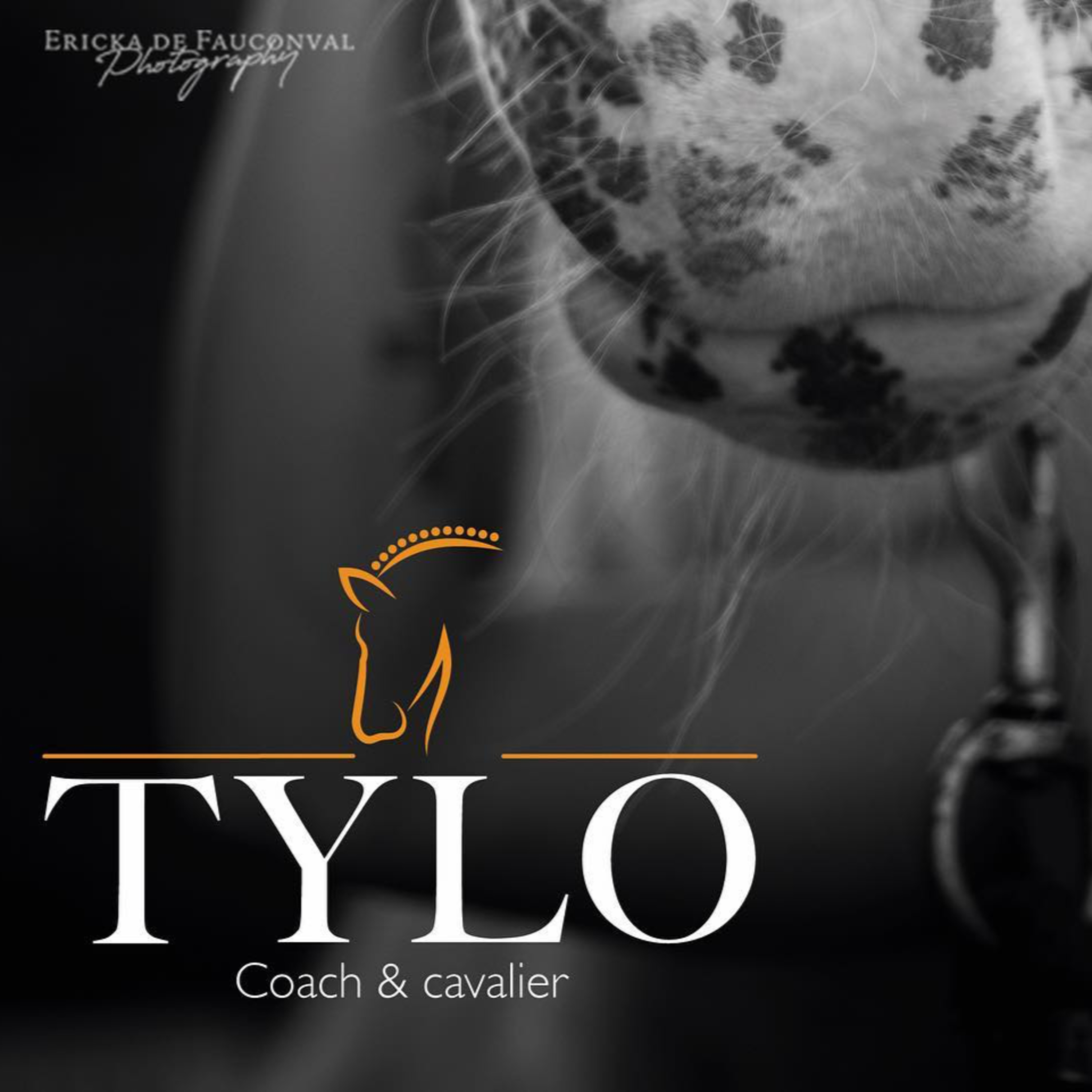 Therapy TYLO - le podcast