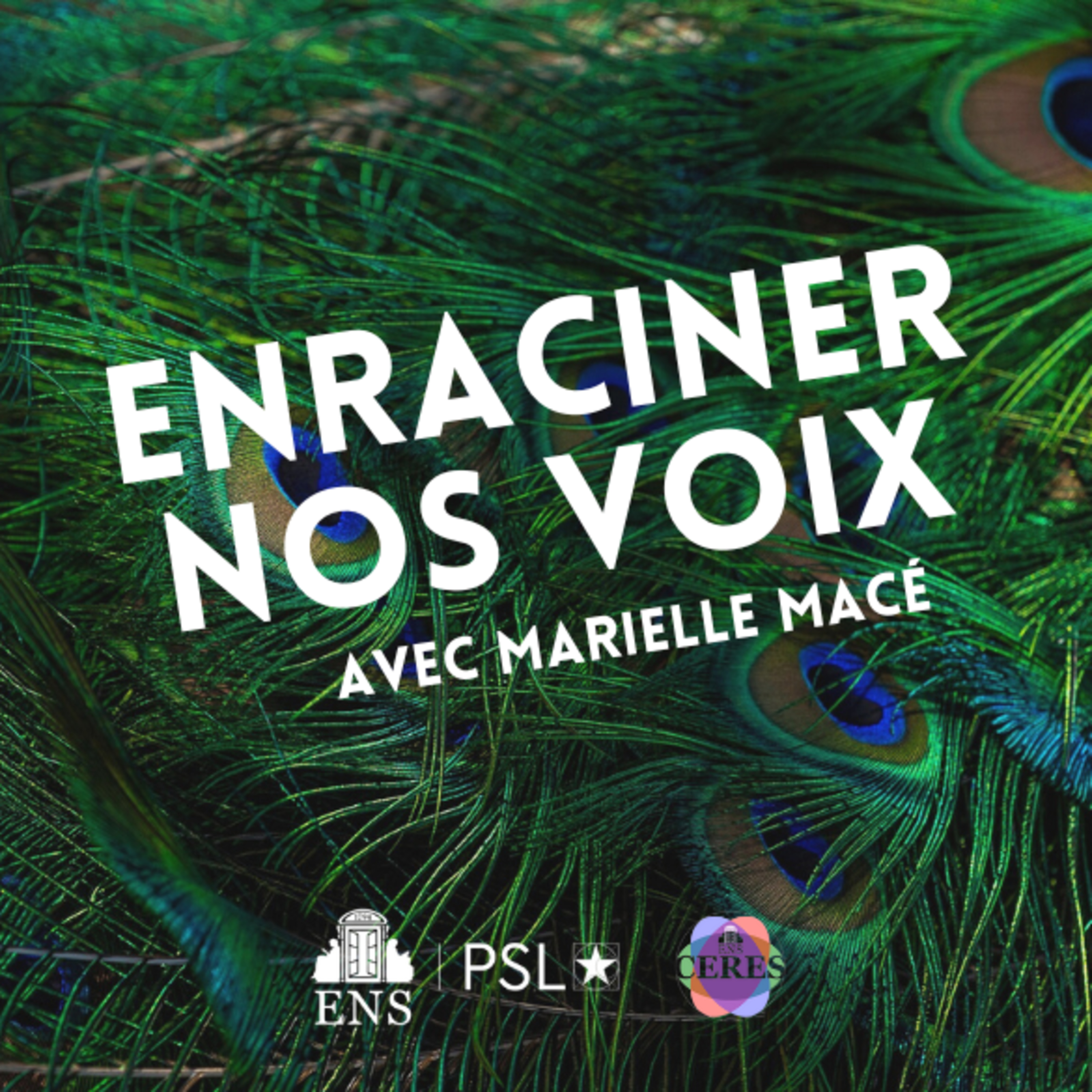 Paroles humaines, paroles non-humaines avec Marielle Macé