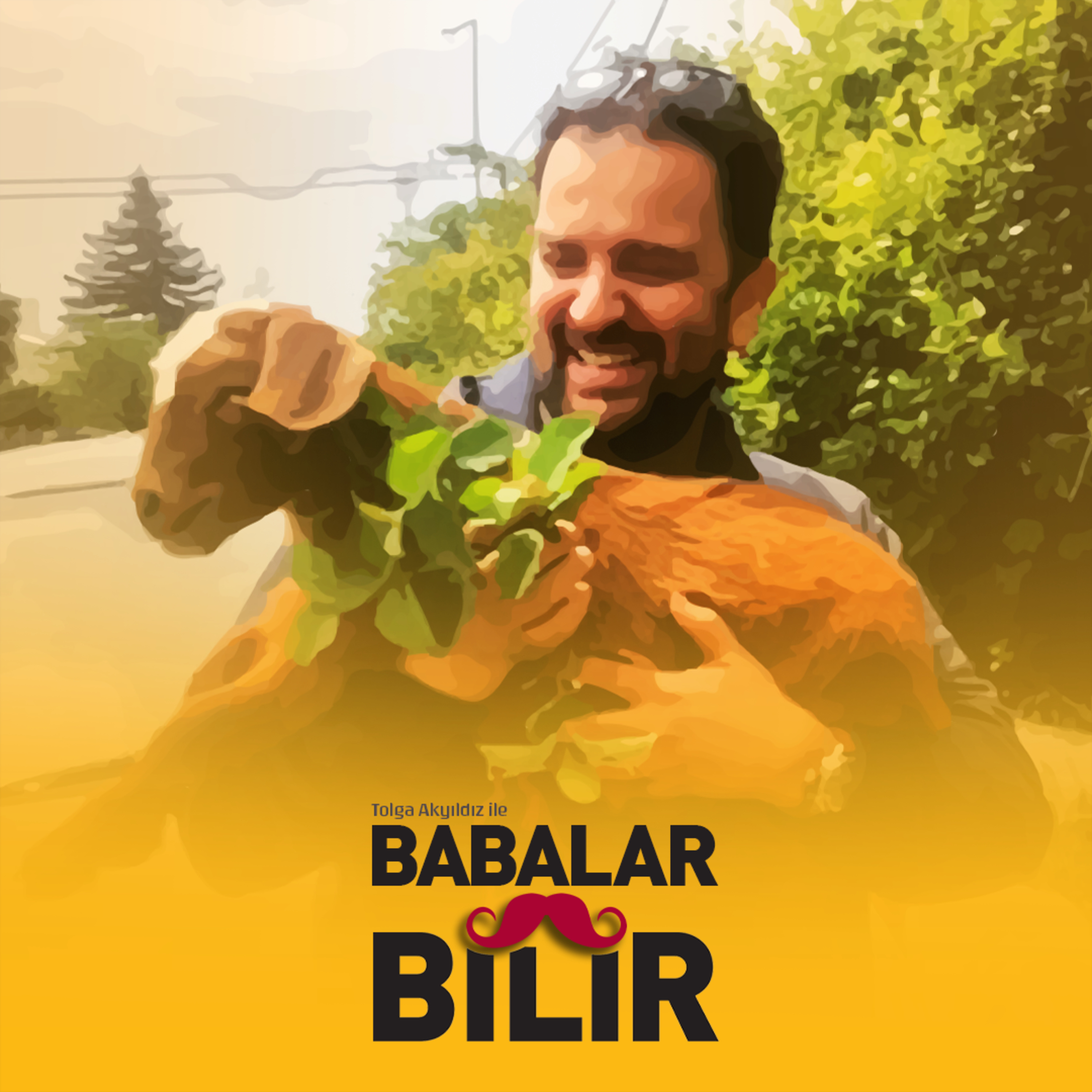 Babalar Bilir