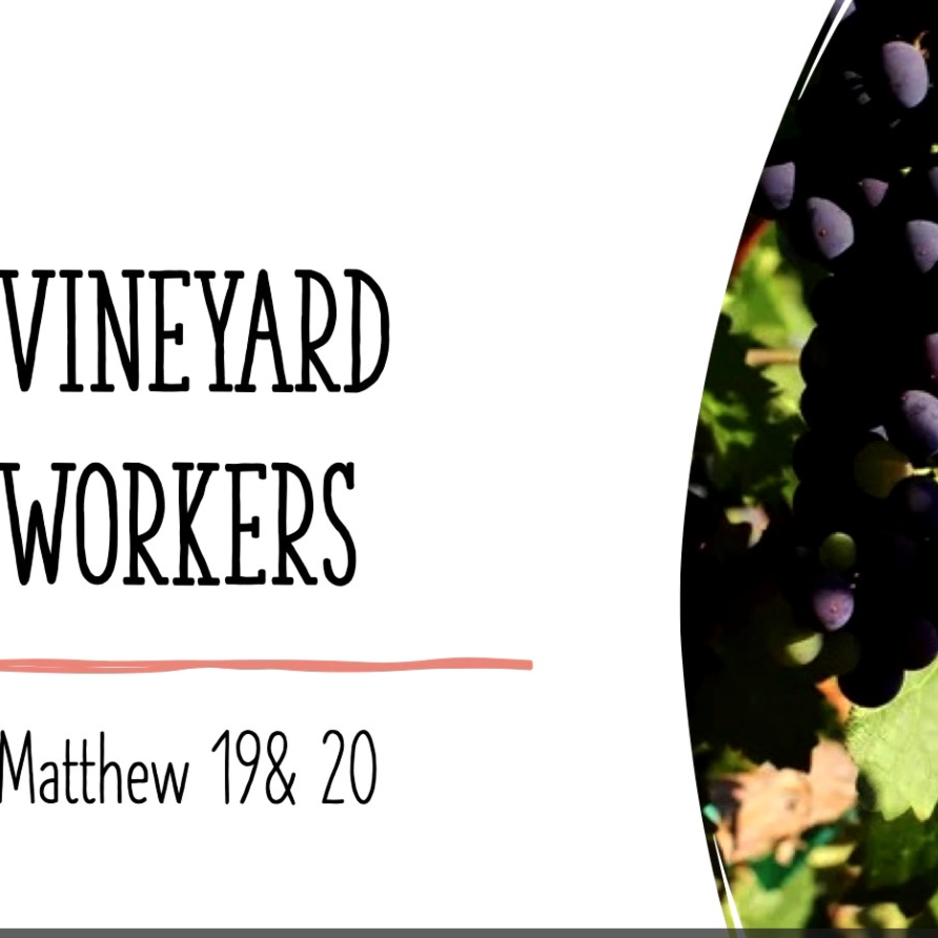 The workers in the vineyard episode artwork