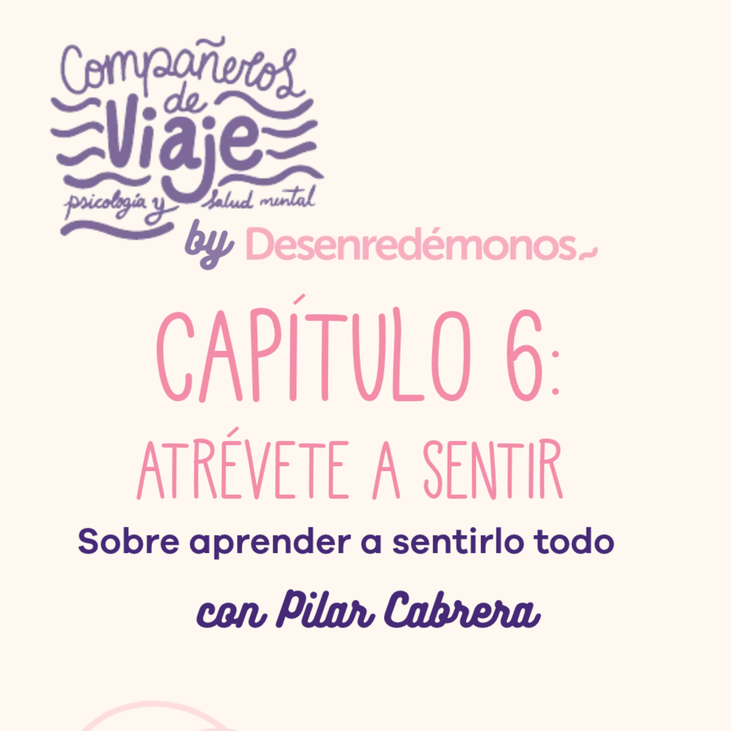 Portada de Compañeros De Viaje