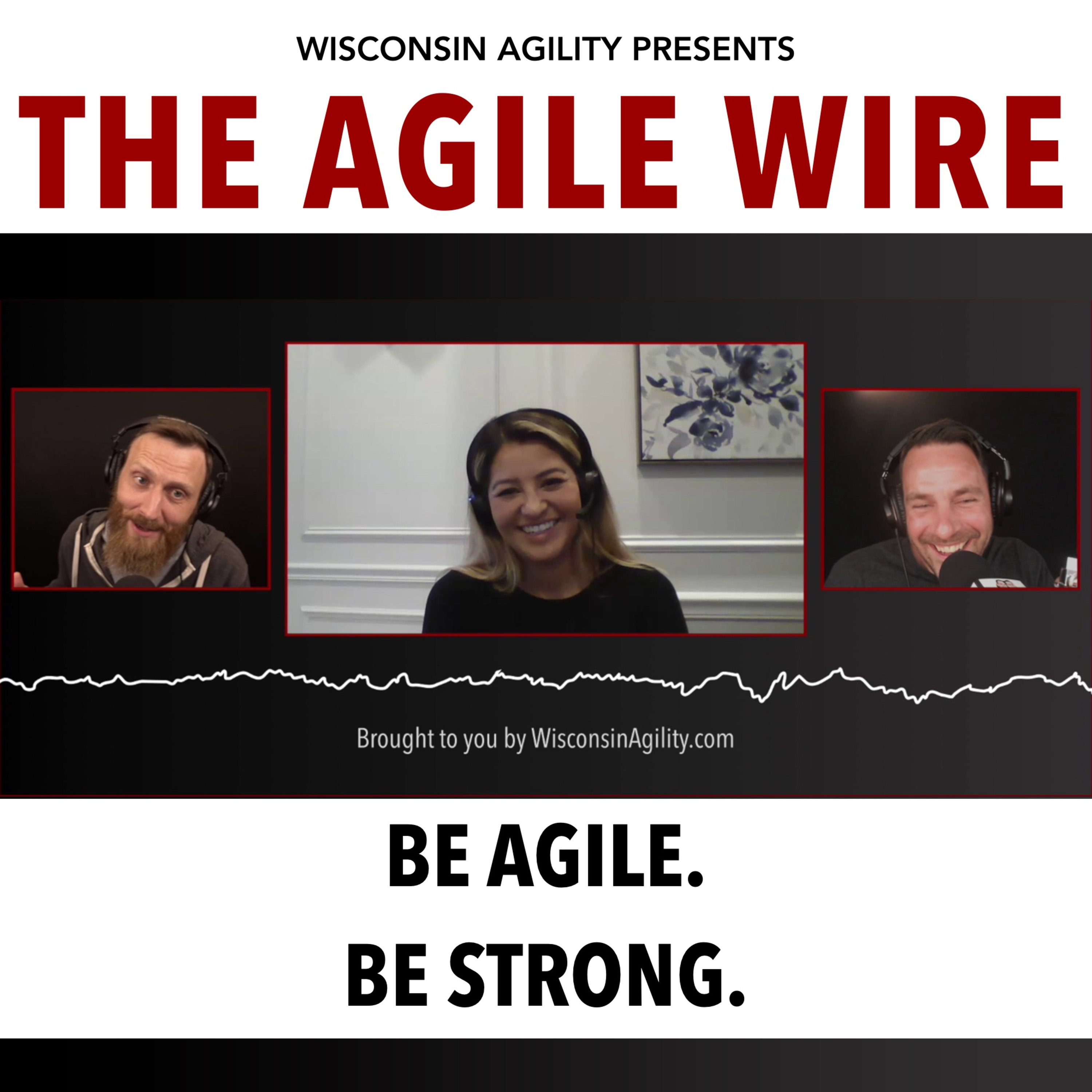 The Agile Wire