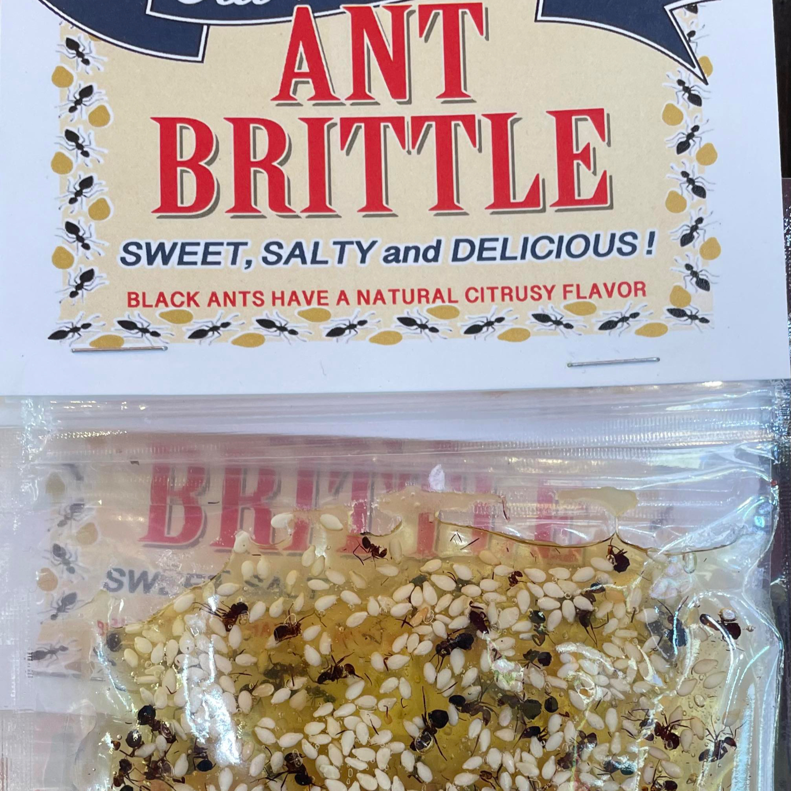 Artisanal Ants episode artwork