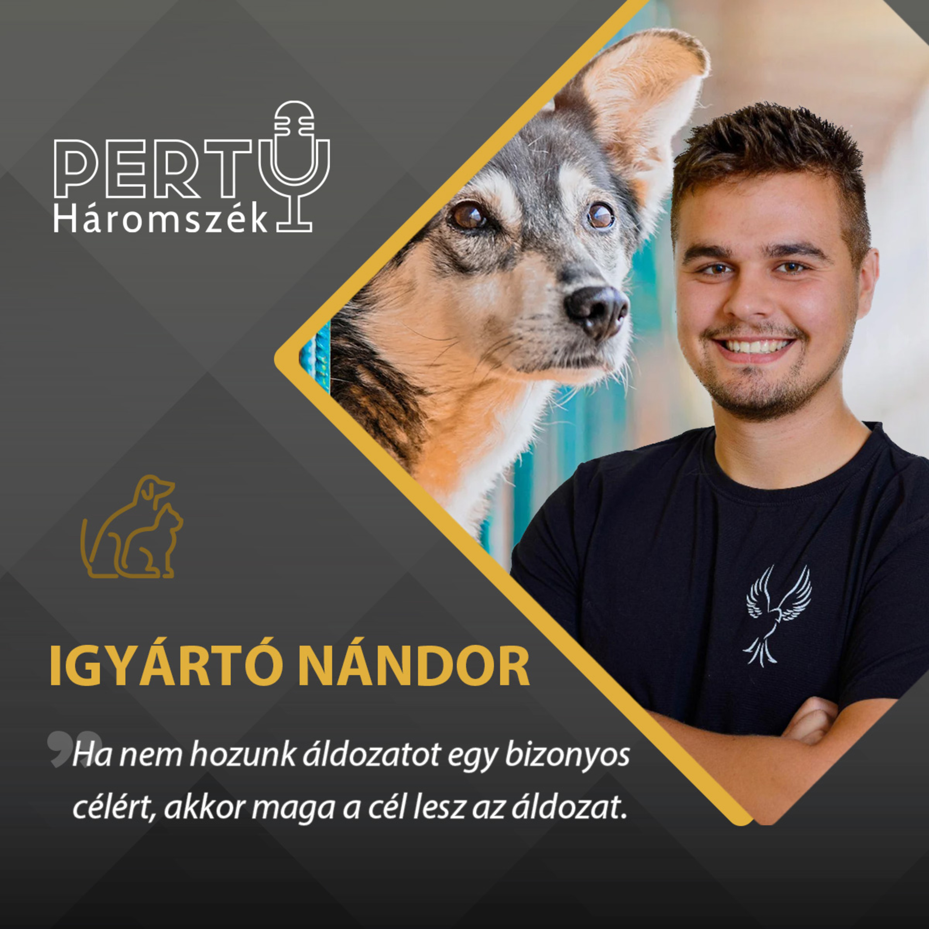 Igyártó Nándor / PERTU 61. rész episode artwork