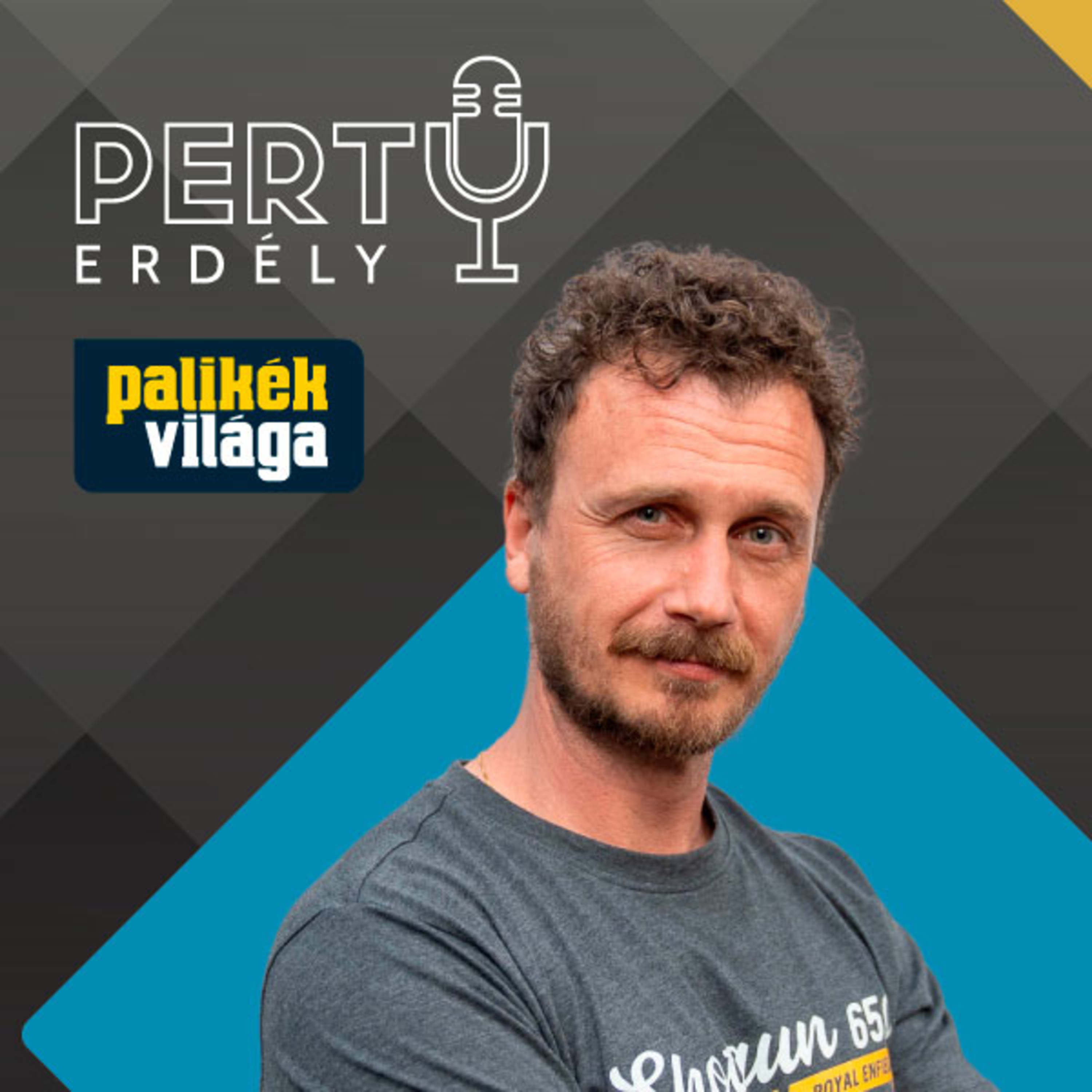 Ha megszűnök létezni, akkor gyakorlom a szakmát - Bokor Barna / PERTU 156. rész