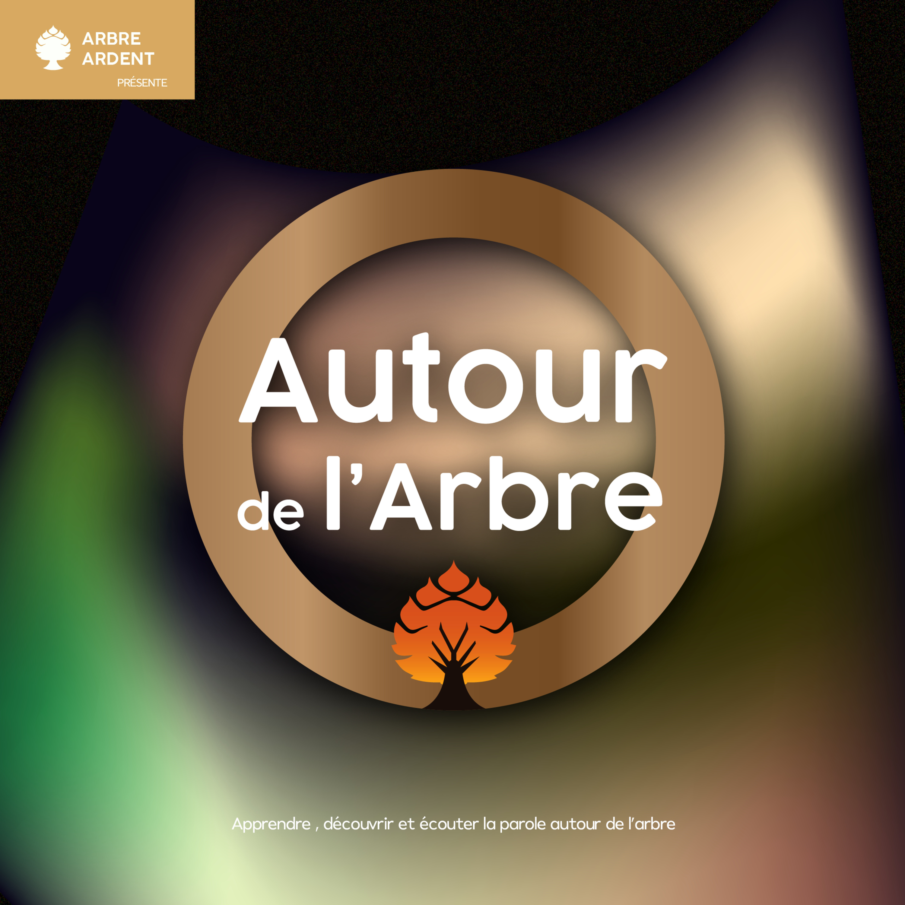 Autour de l\'arbre