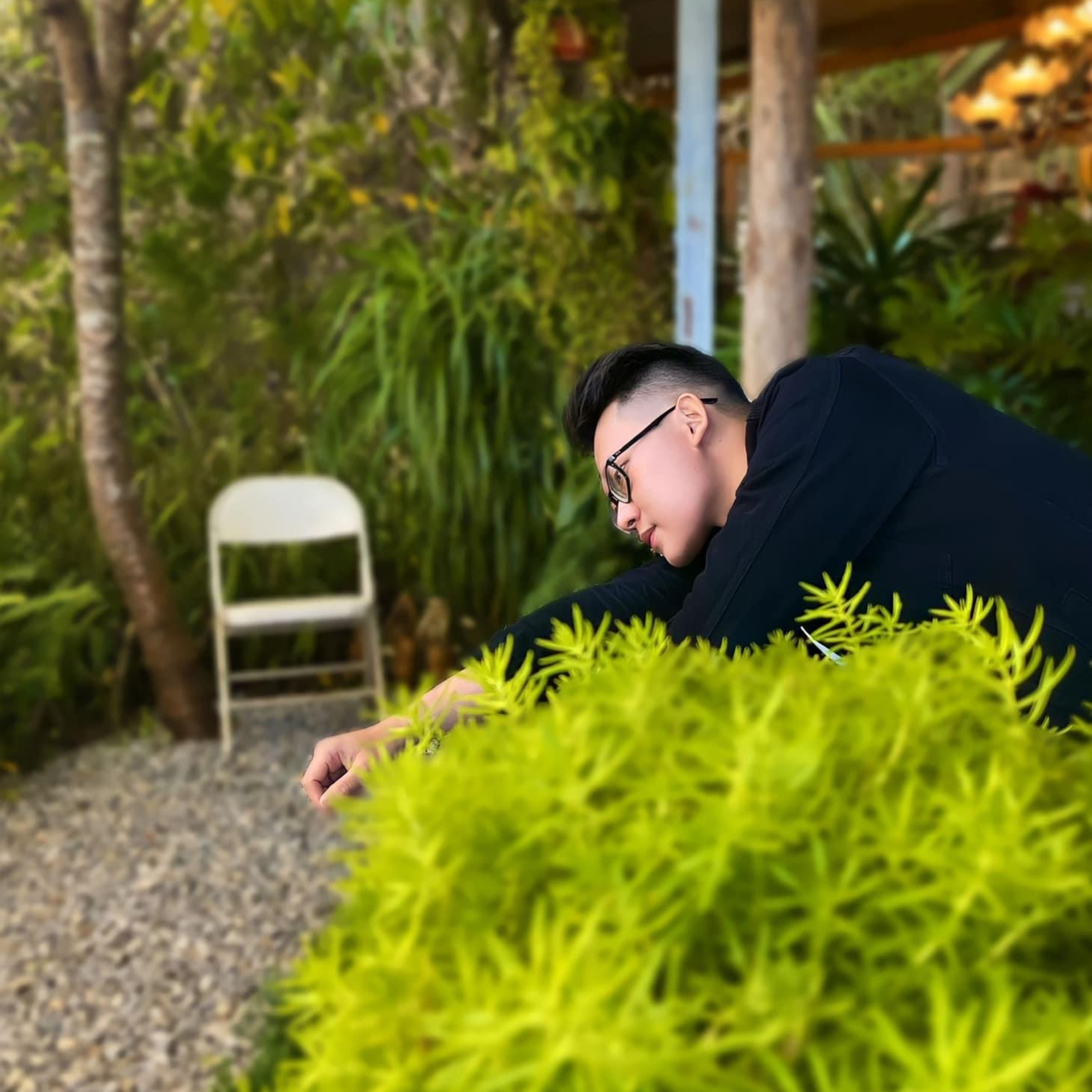 Linh Quy Ơi