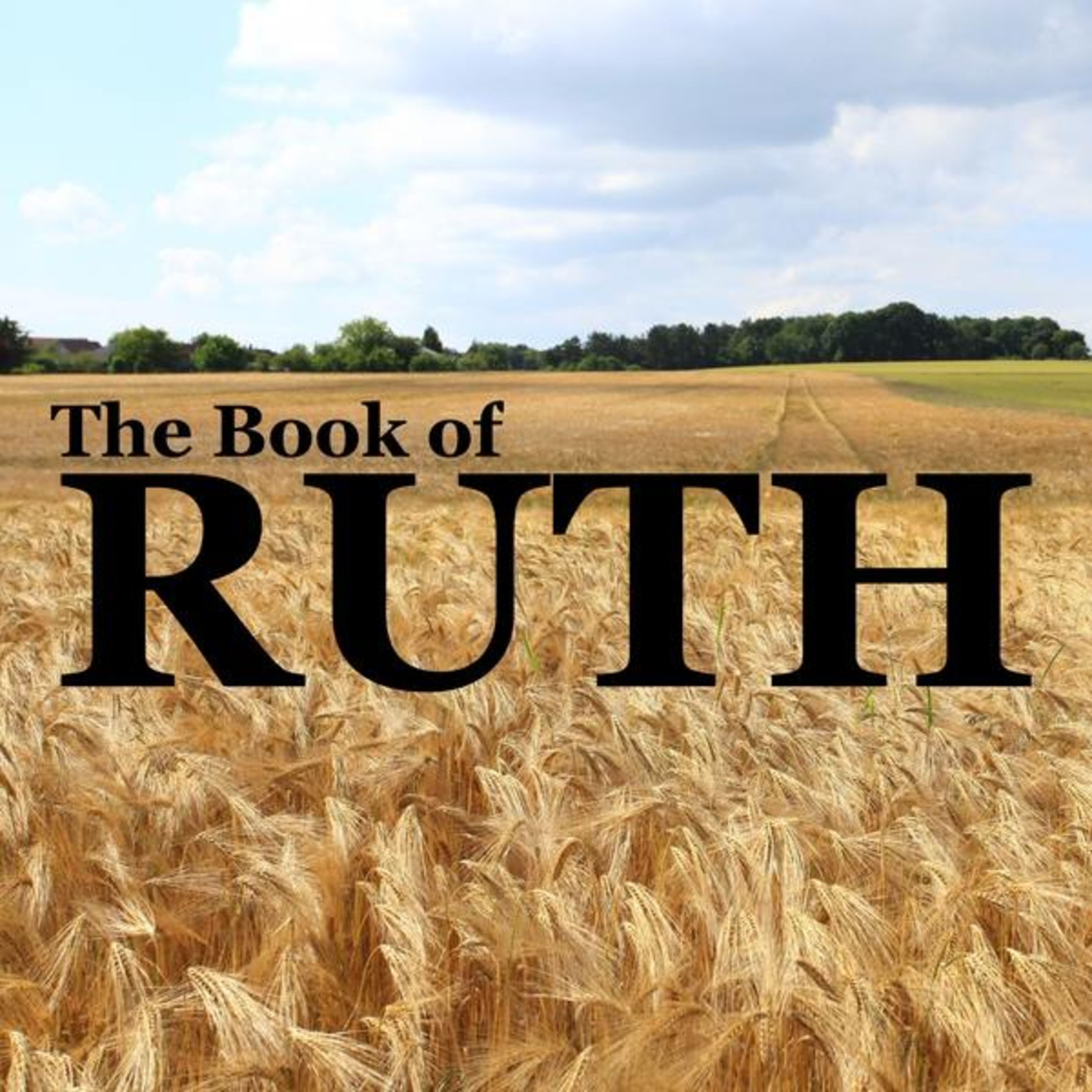 Ruth Sermon Series ~ Our God Who is at Work (Ruth 3) episode artwork