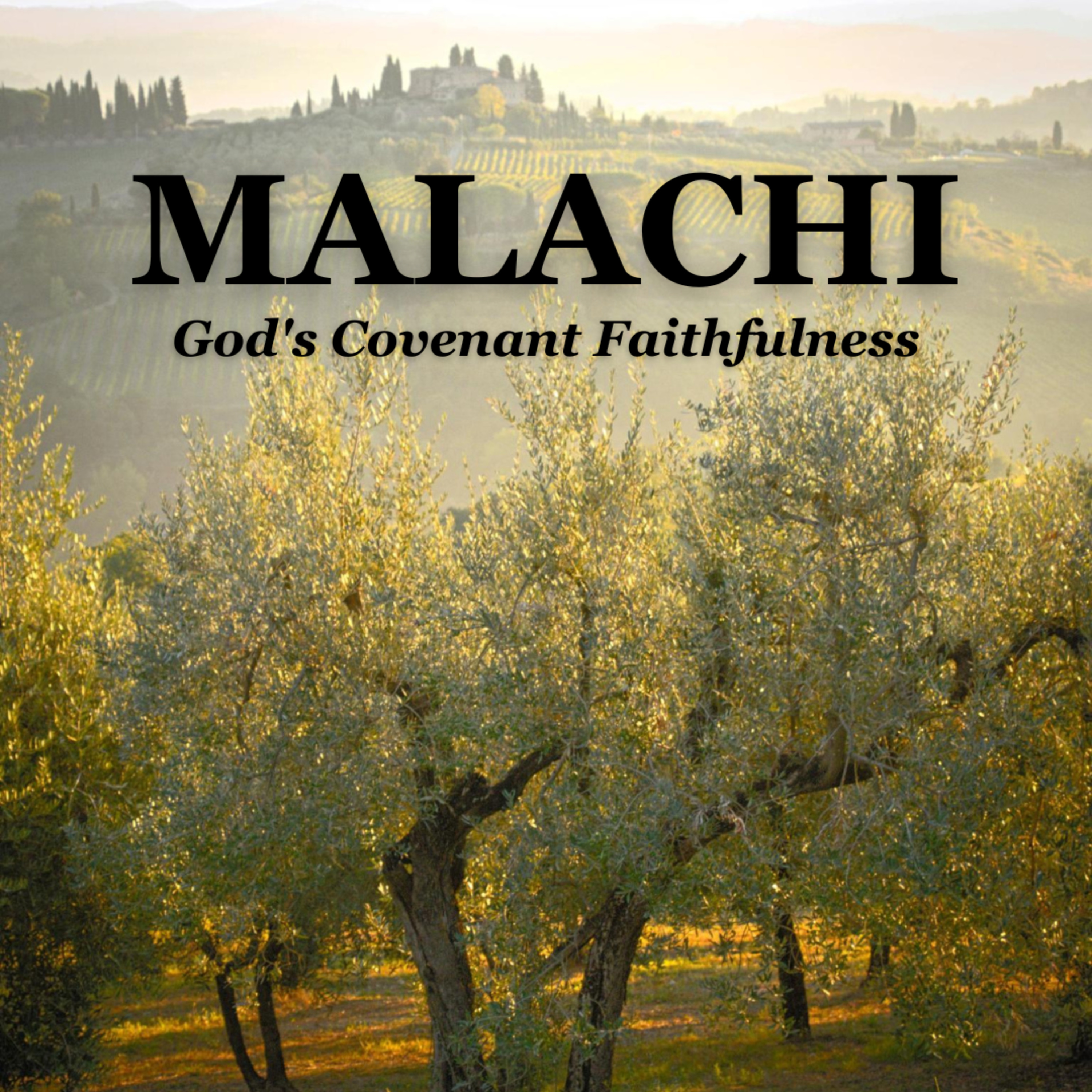 Malachi Sermon Series ~ God's Covenant Faithfulness (Mal. 1:1-5) episode artwork