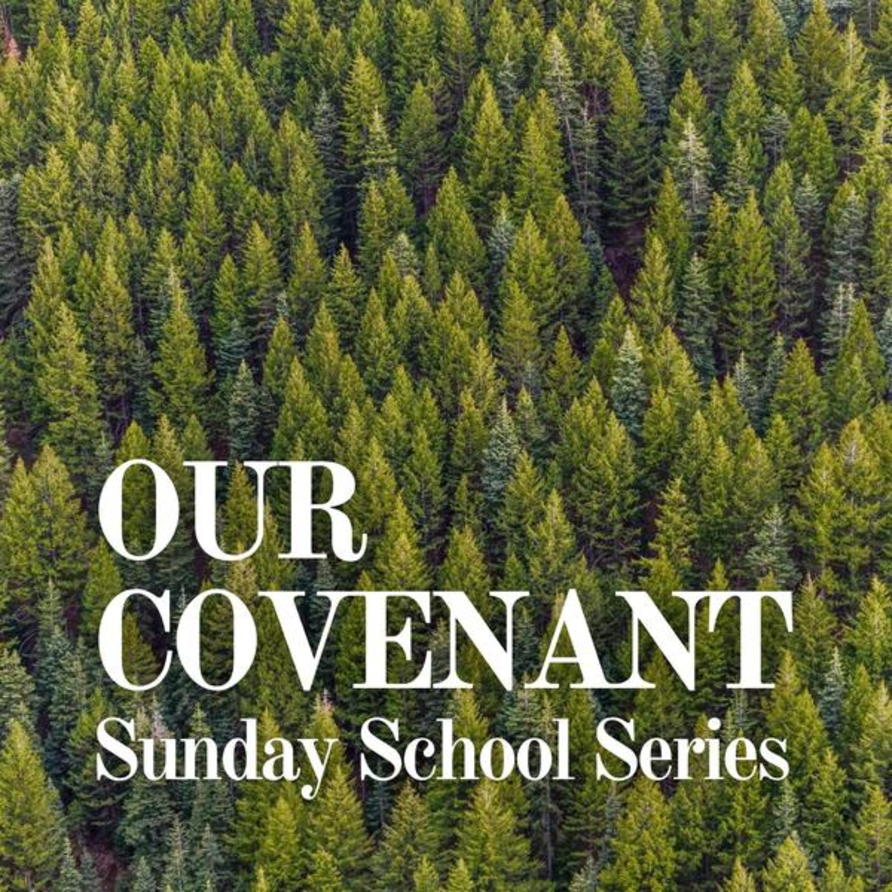 Our Covenant Sunday School Series ~ Will Not Forsake Assembling episode artwork