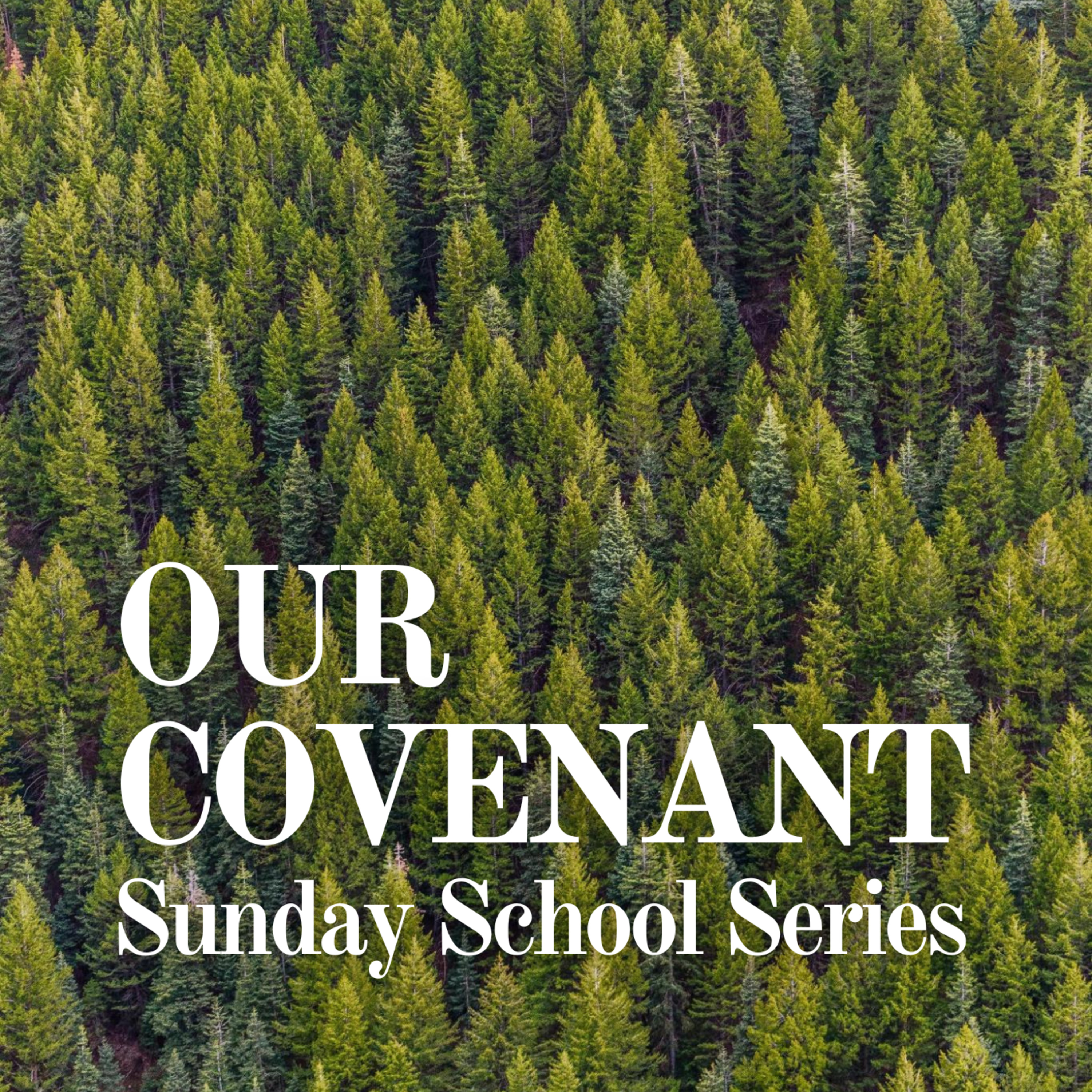 Sunday School Series ~ Renewing Our Covenant episode artwork