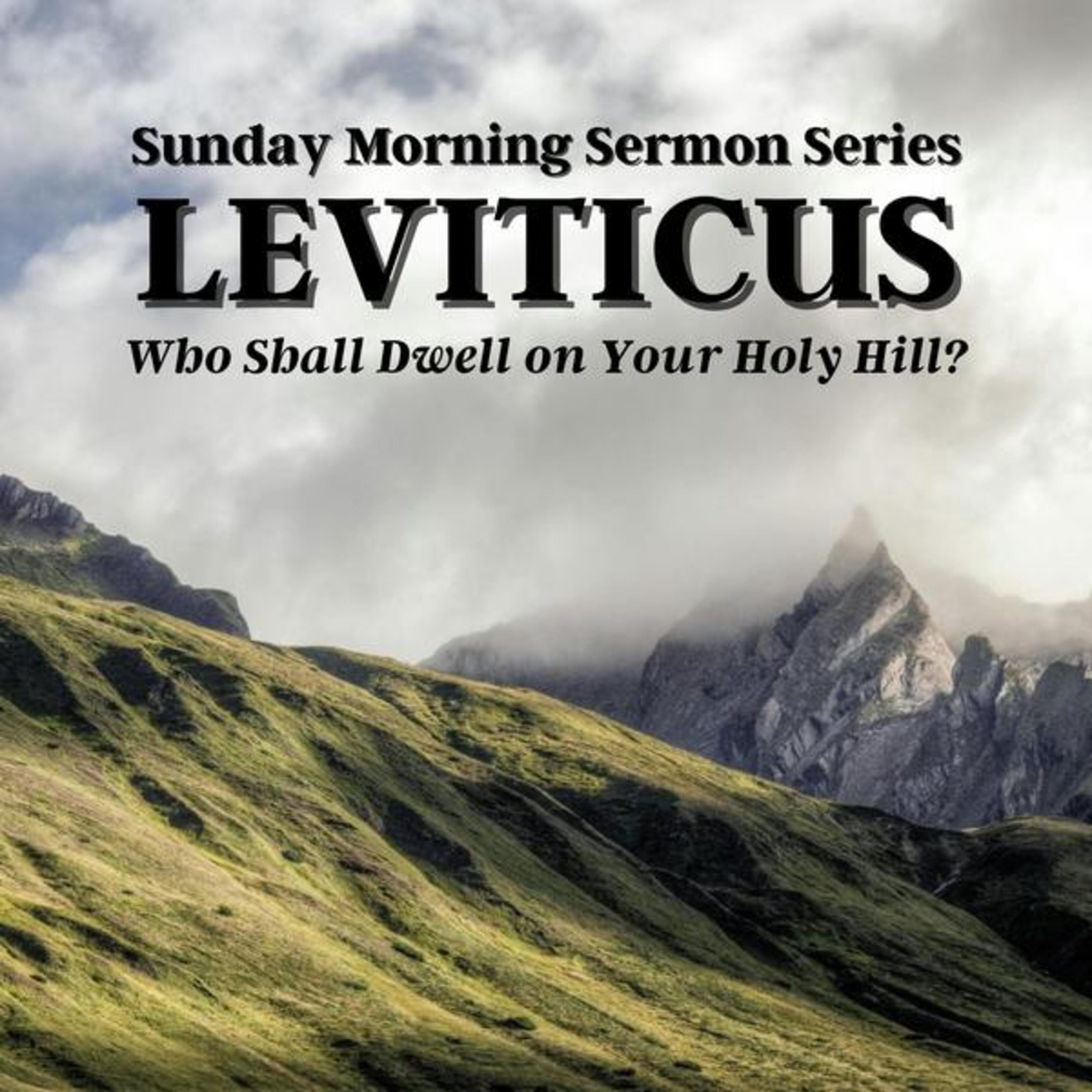 Leviticus Sermon Series ~ Life in the Blood (Lev 17) episode artwork
