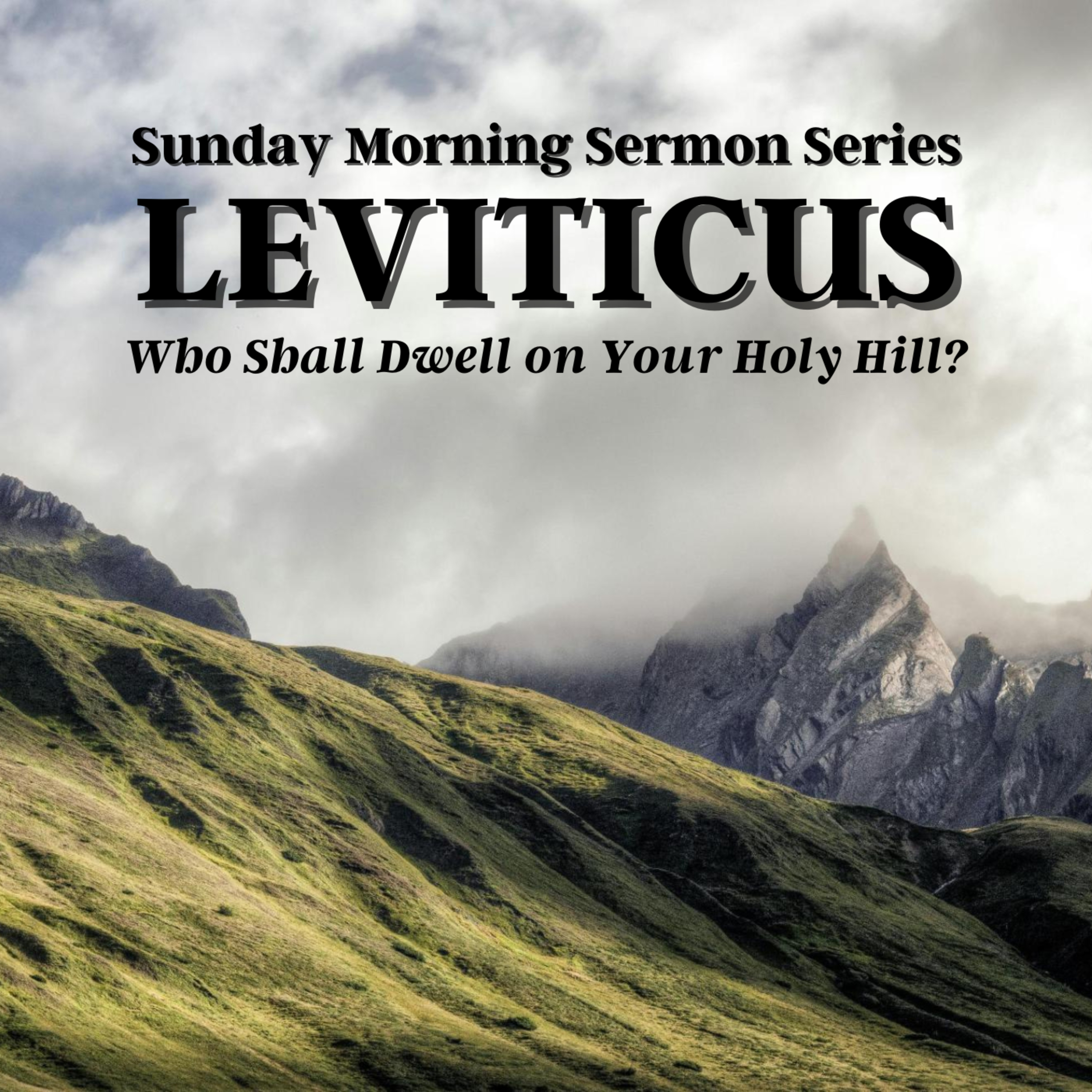 Leviticus Sermon Series ~ Holy Liberty (Lwv 25) episode artwork