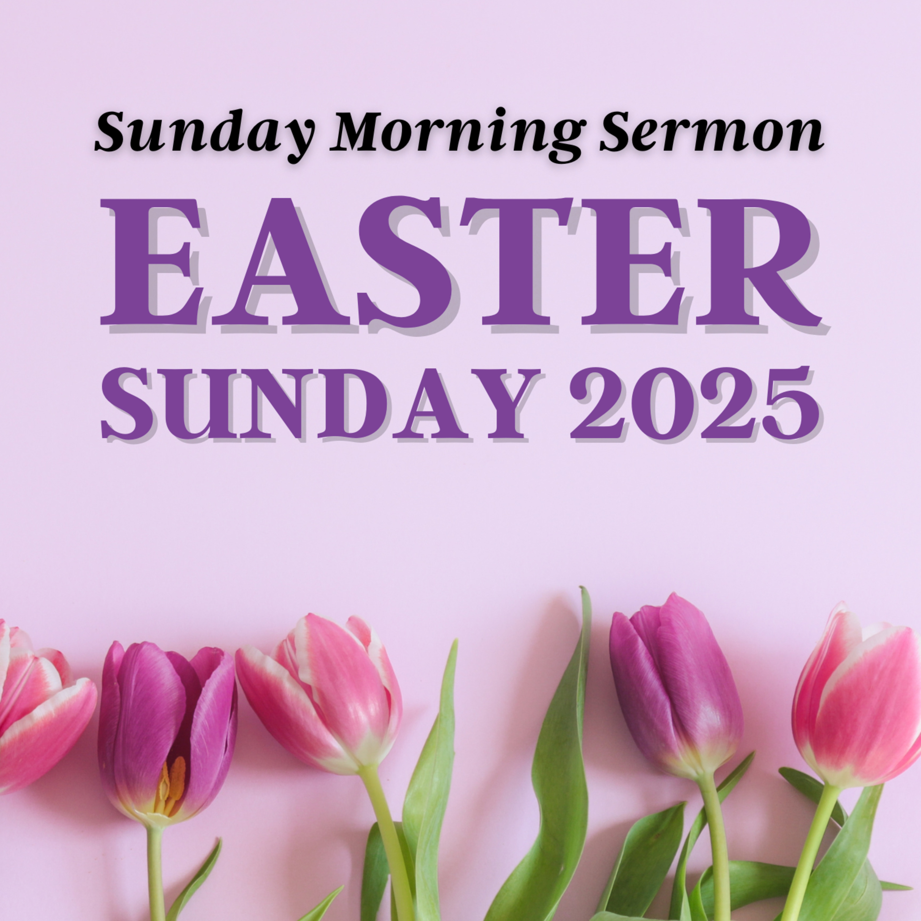 Easter Sunday ~ Raised with Christ (Col. 3:1-4) episode artwork