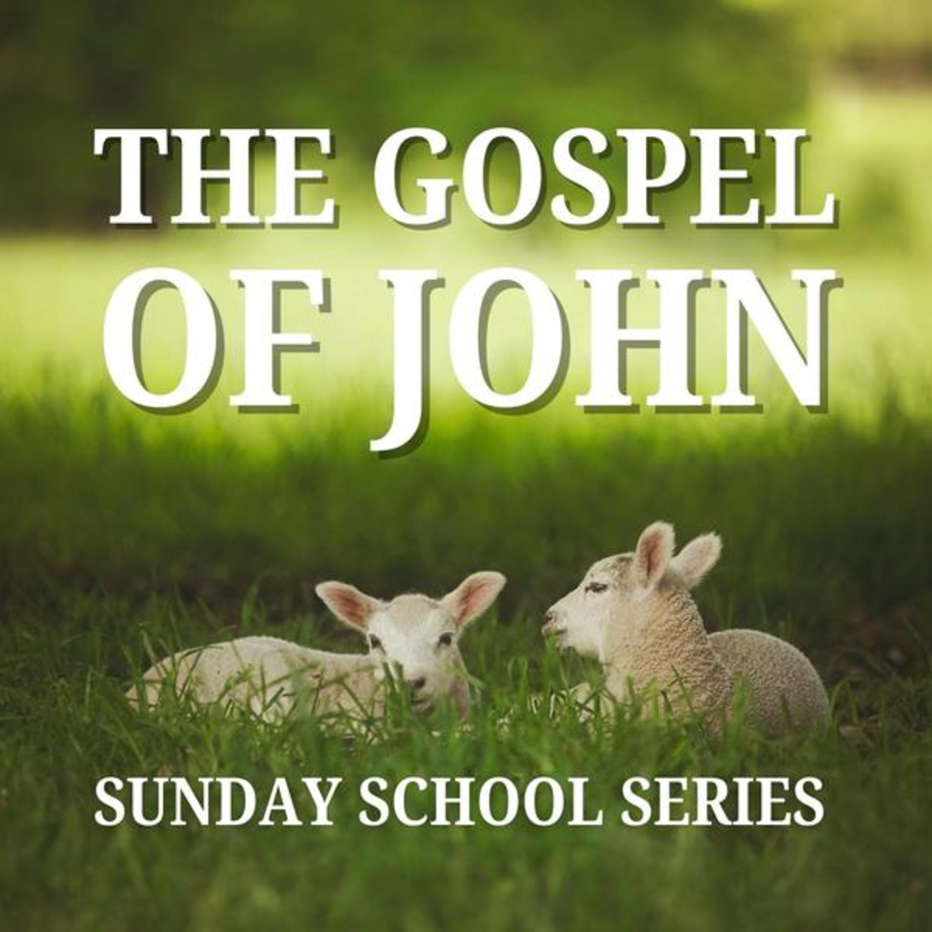 John Sunday School Series ~ Jn 8:37-47 episode artwork
