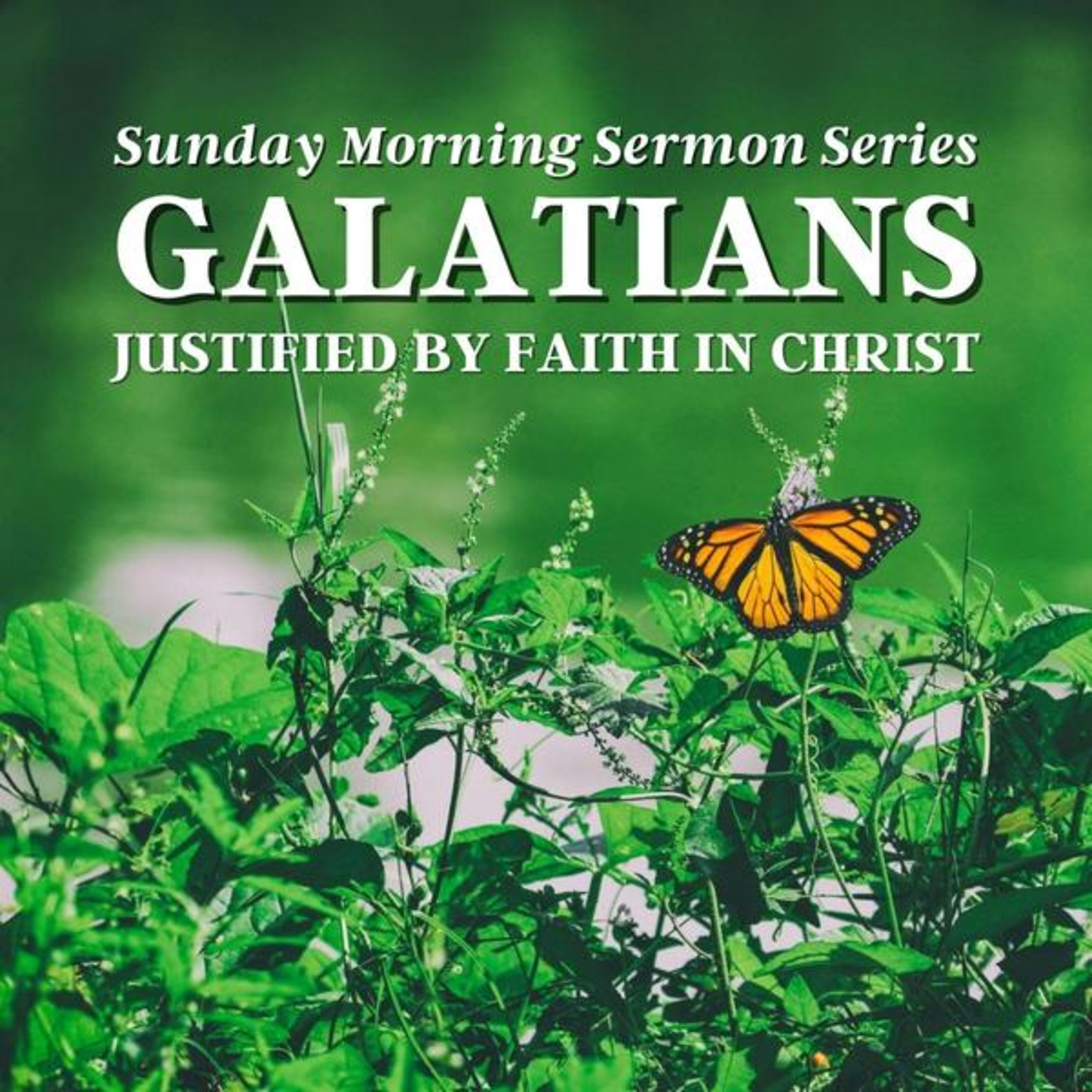 Galatians Sermon Series ~ The Necessity of the Law (Gal. 3:19-22) episode artwork