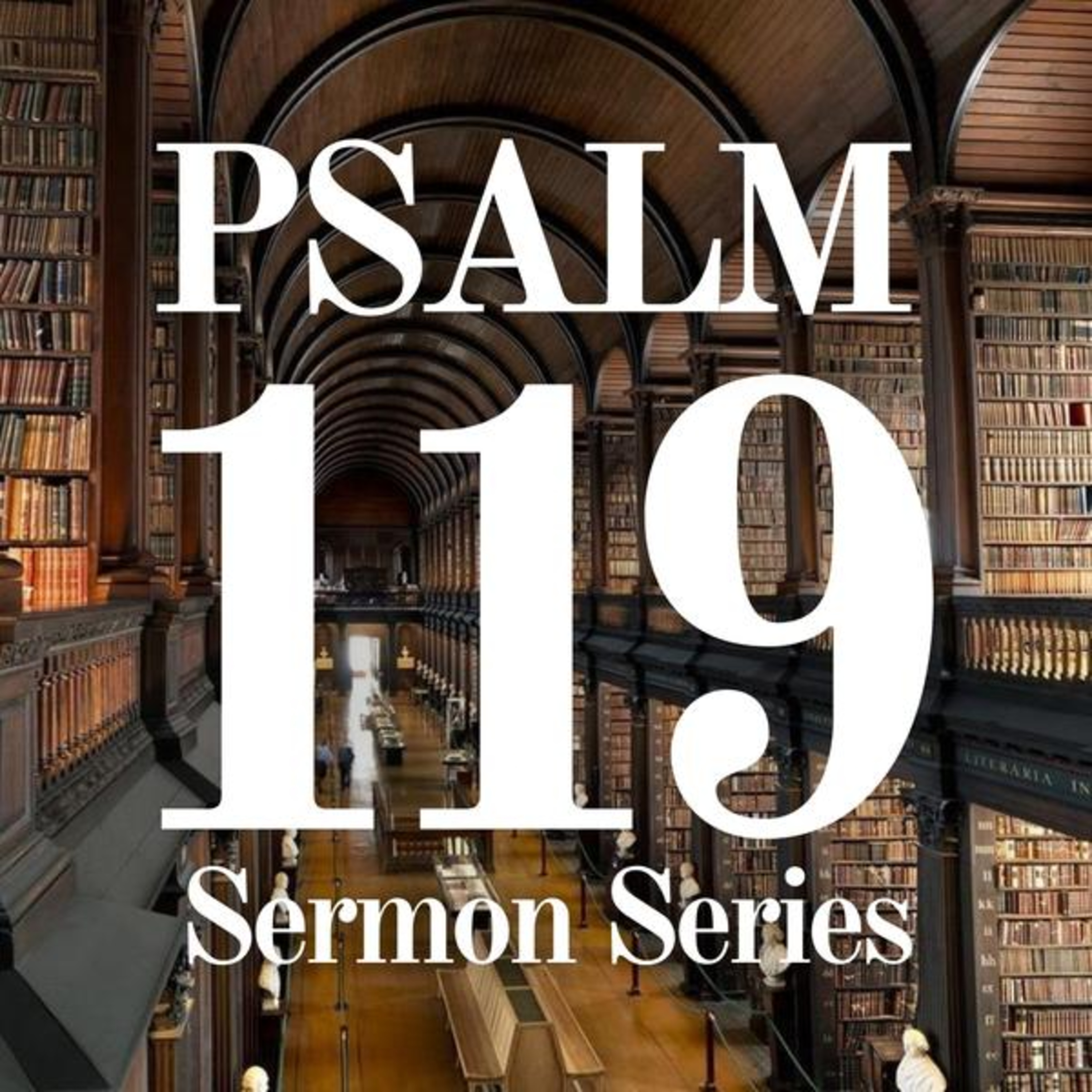 Psalm 119 Sermon Series ~ 119:113-128 episode artwork