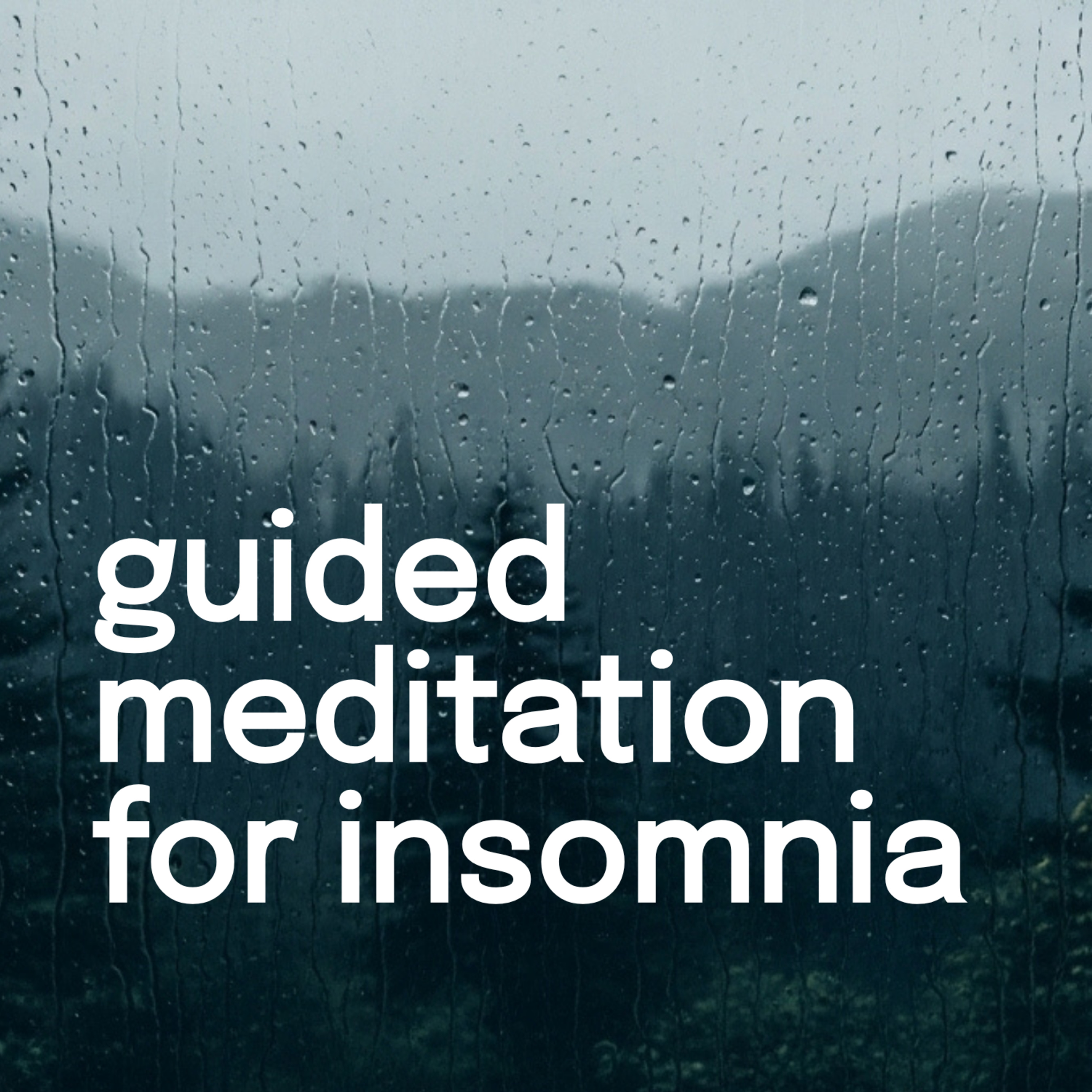 Meditate With Lily