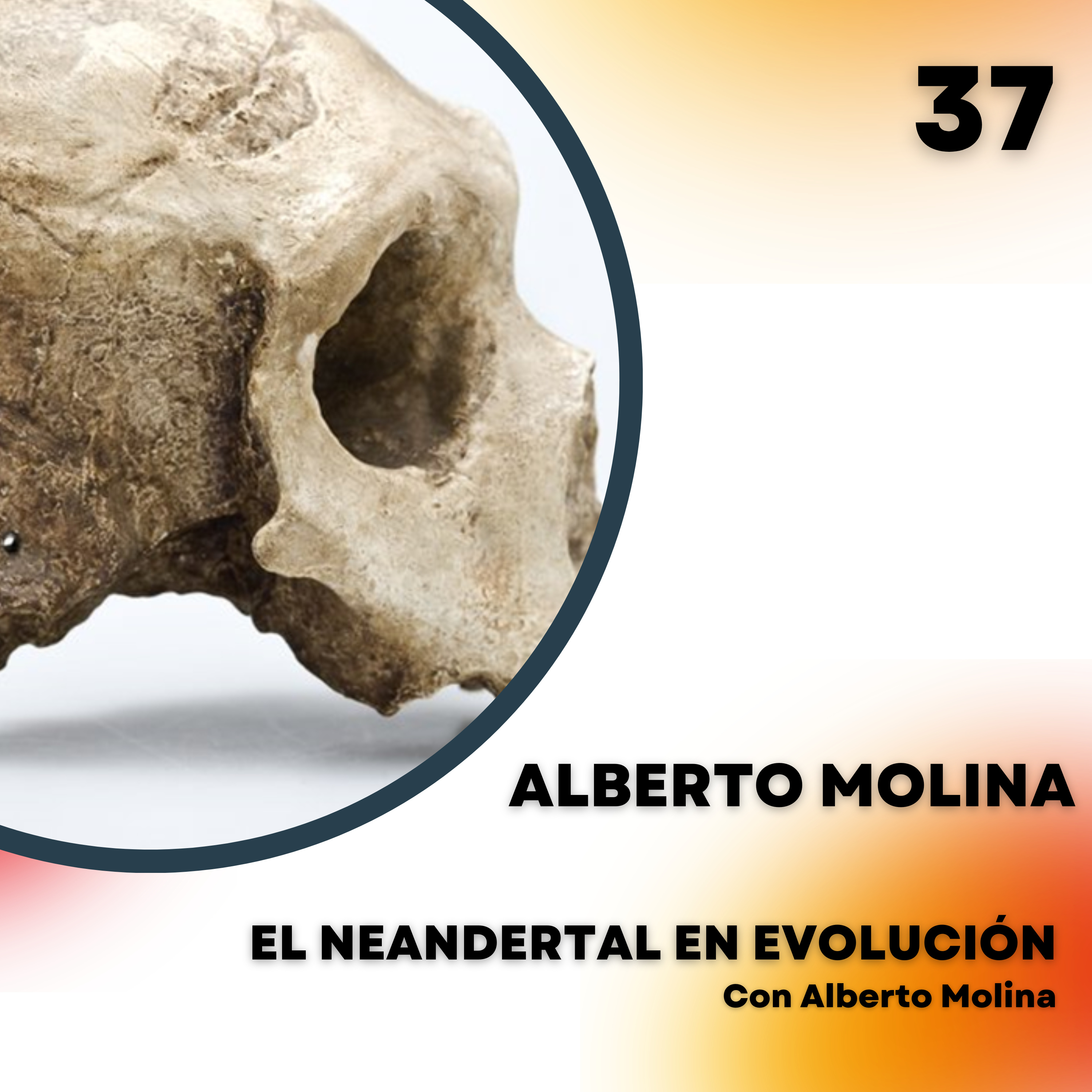 Portada de El Neandertal en evolución