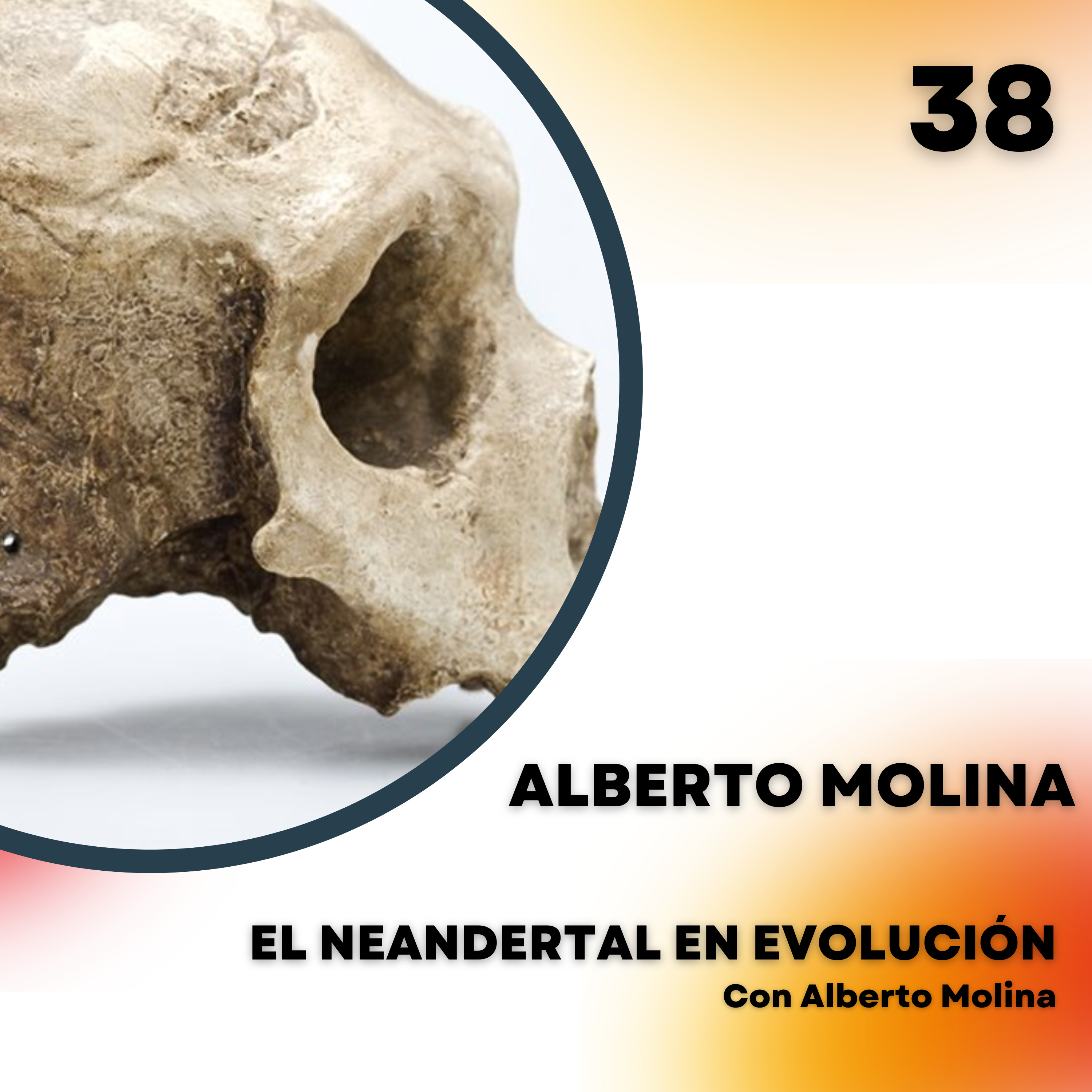 Portada de El Neandertal en evolución