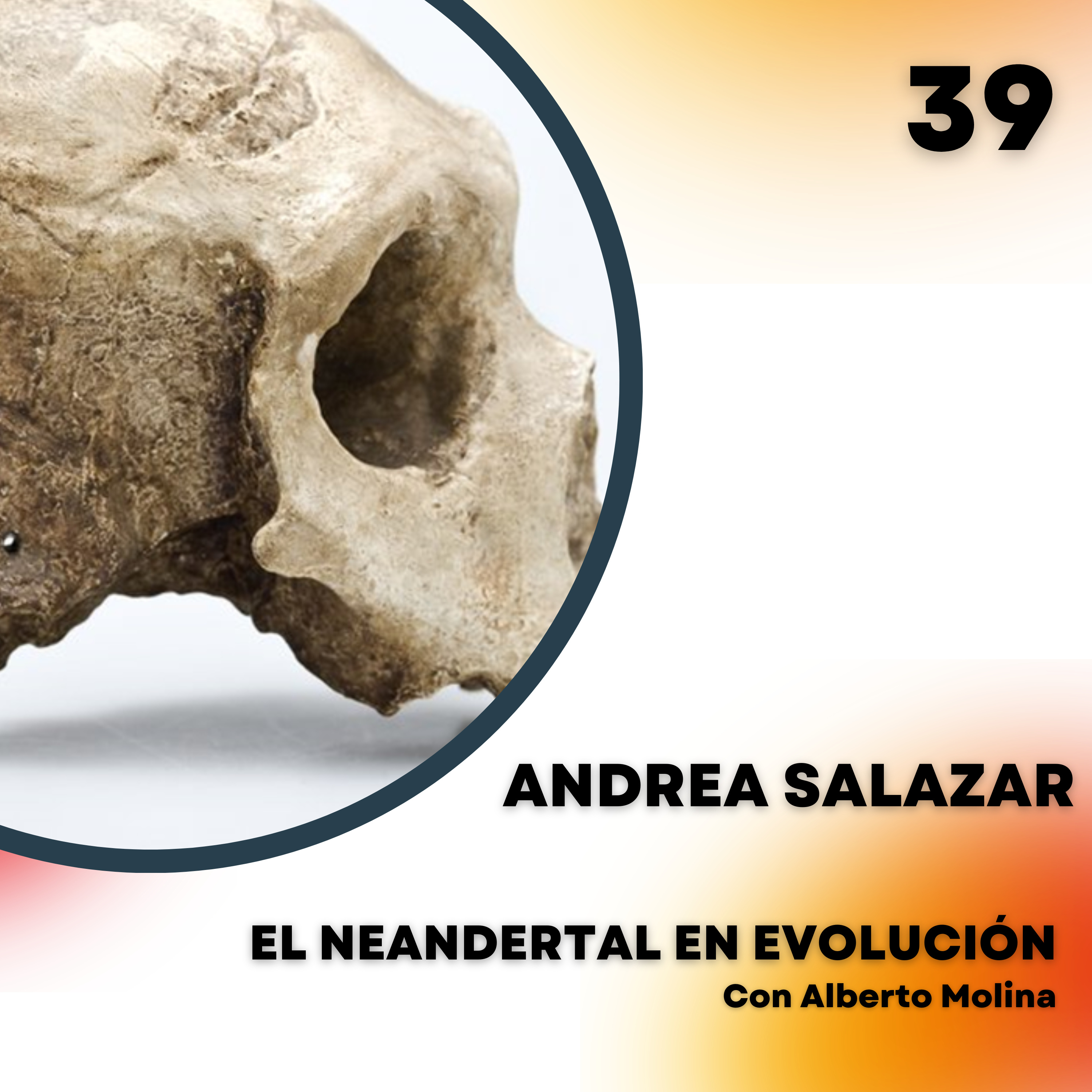 Portada de El Neandertal en evolución