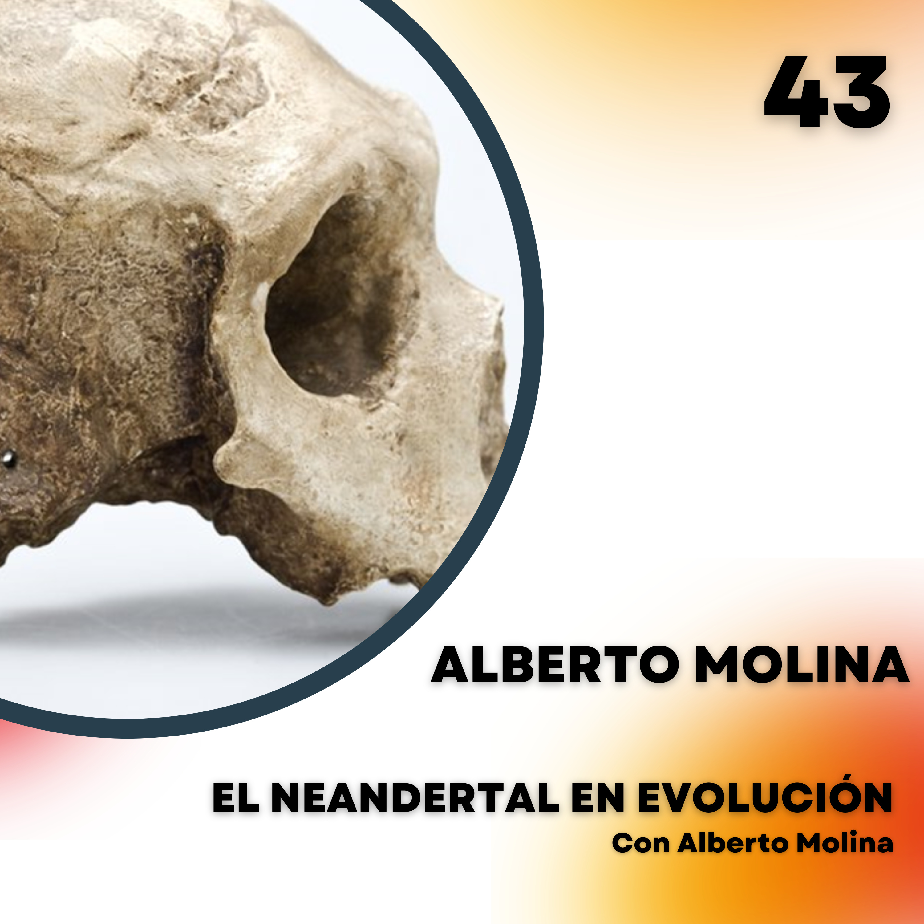 Portada de El Neandertal en evolución