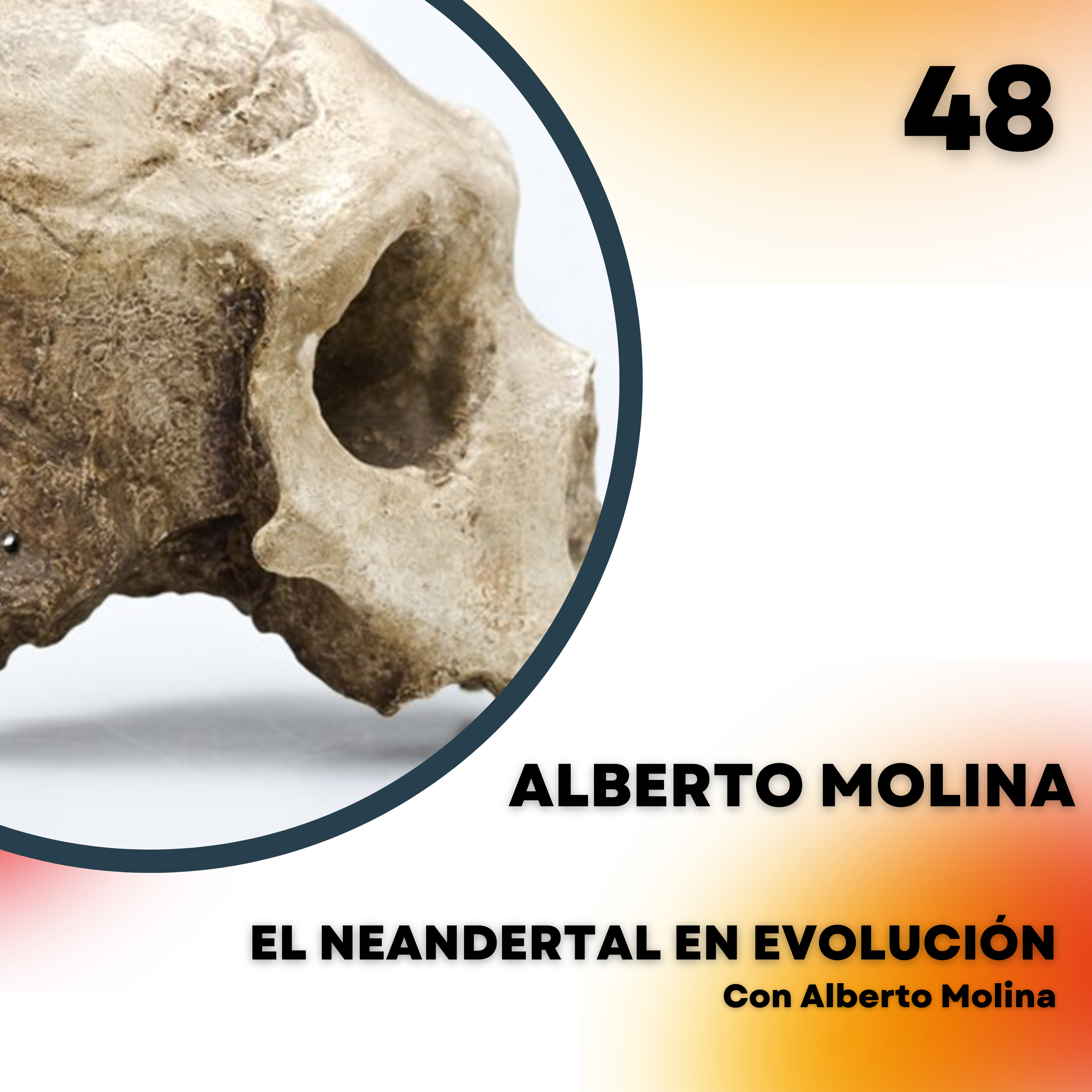 Portada de El Neandertal en evolución