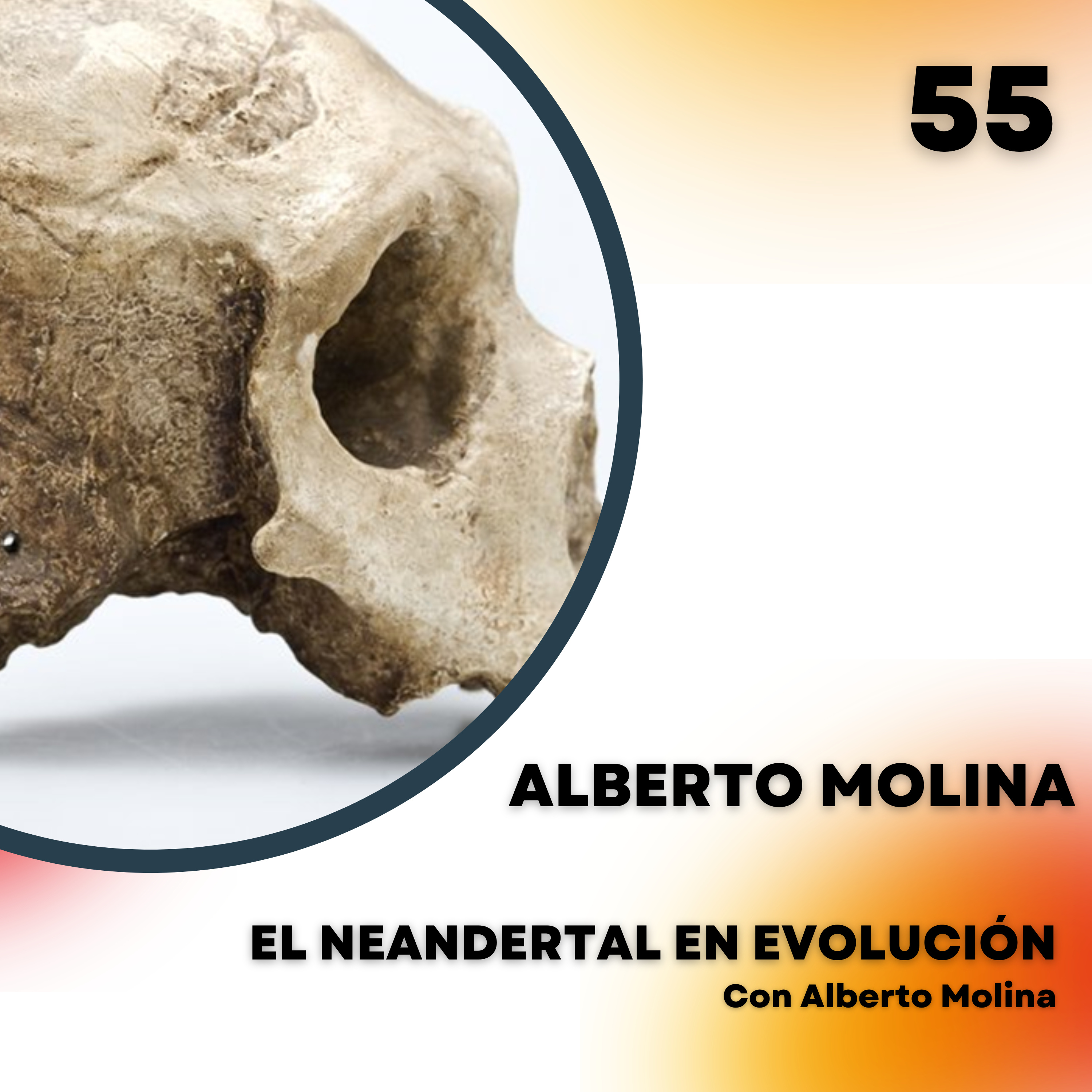 Portada de El Neandertal en evolución