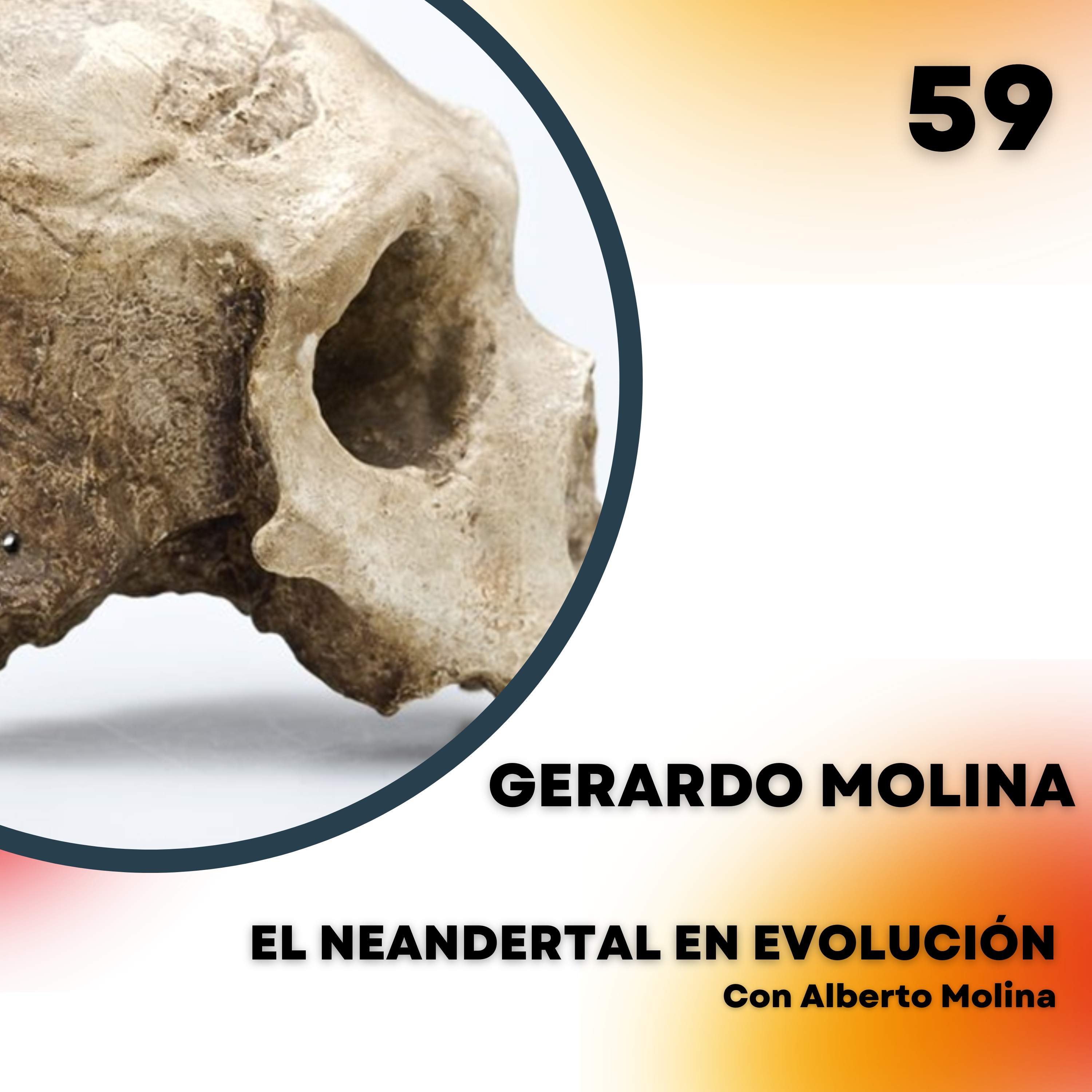 Portada de El Neandertal en evolución