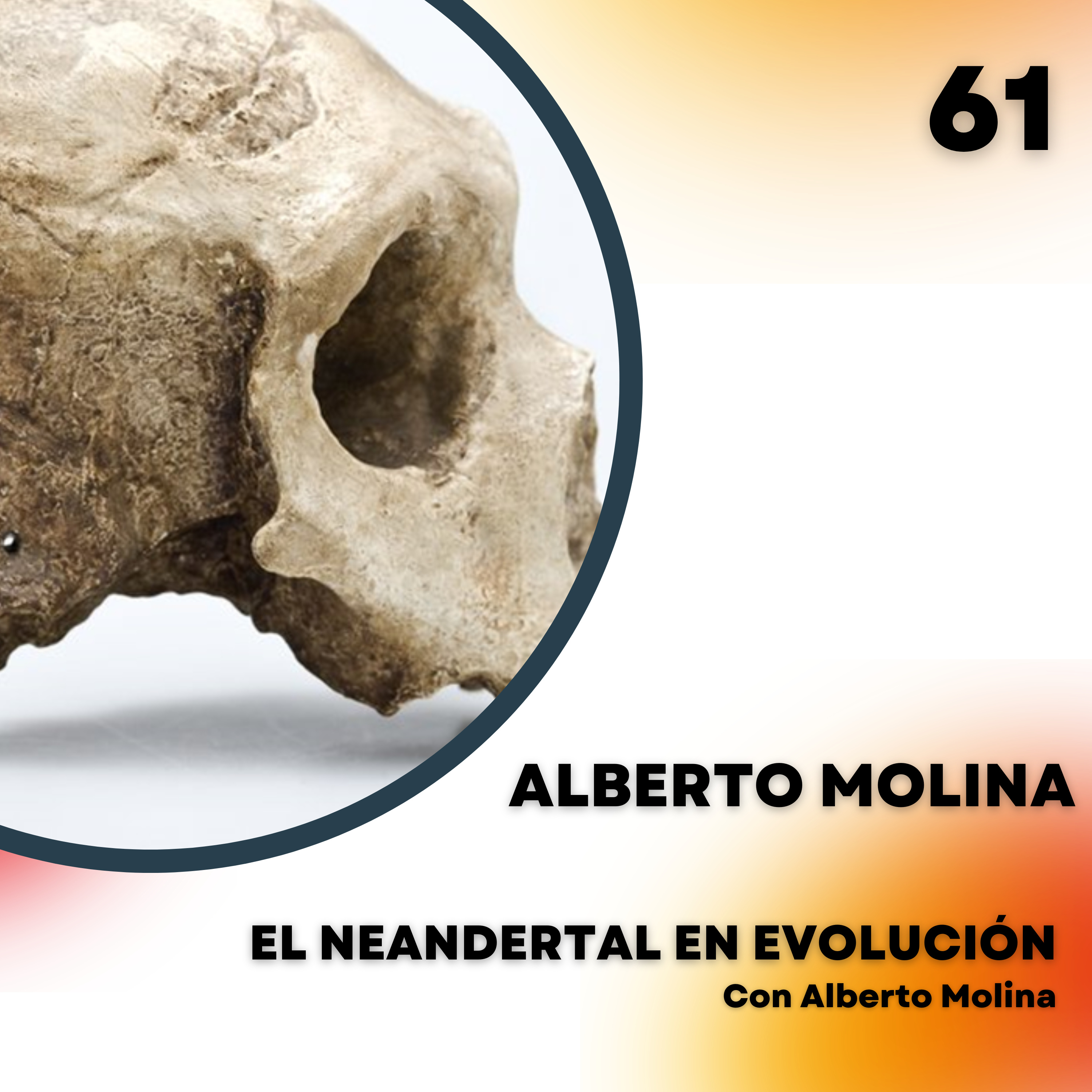 Portada de El Neandertal en evolución