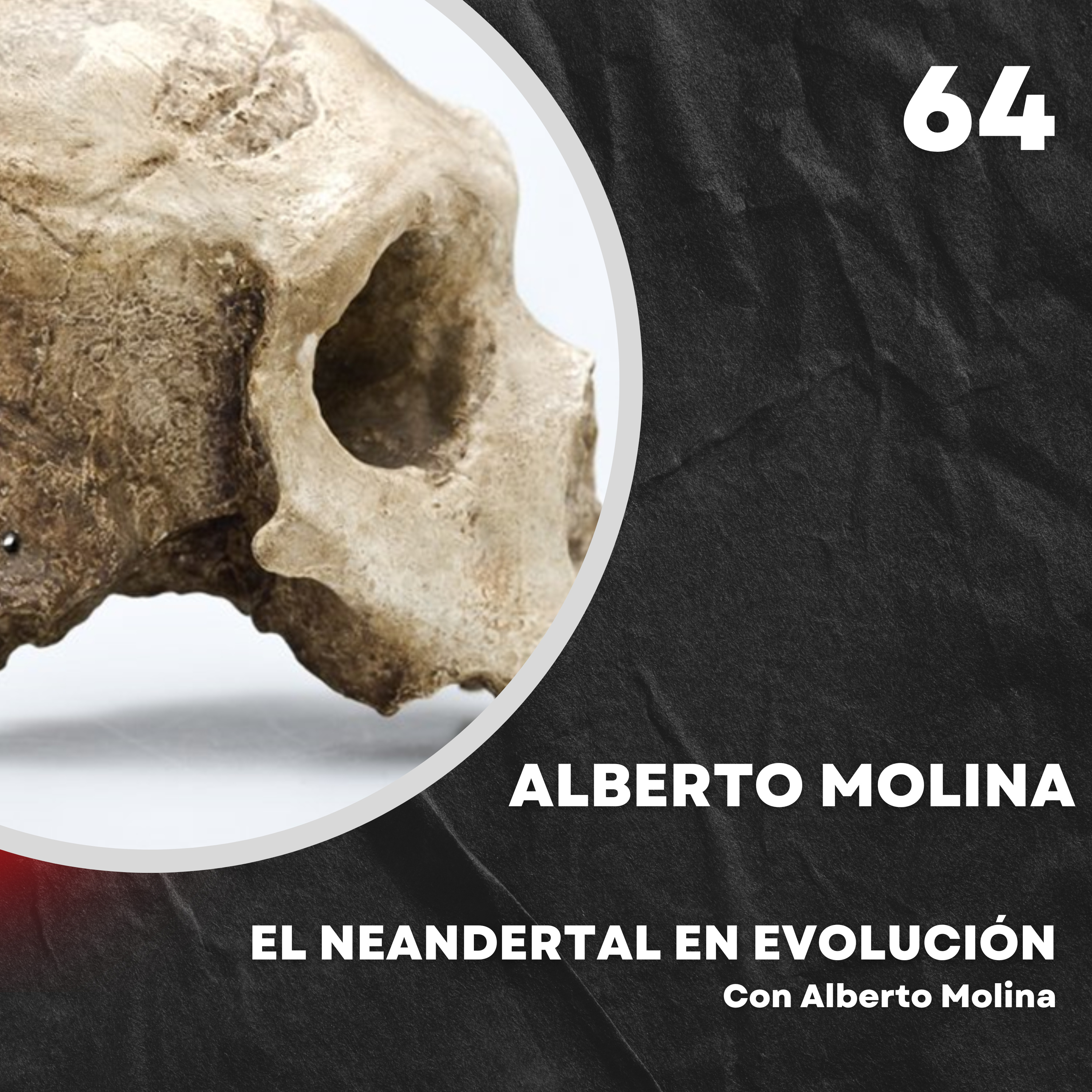 Portada de El Neandertal en evolución