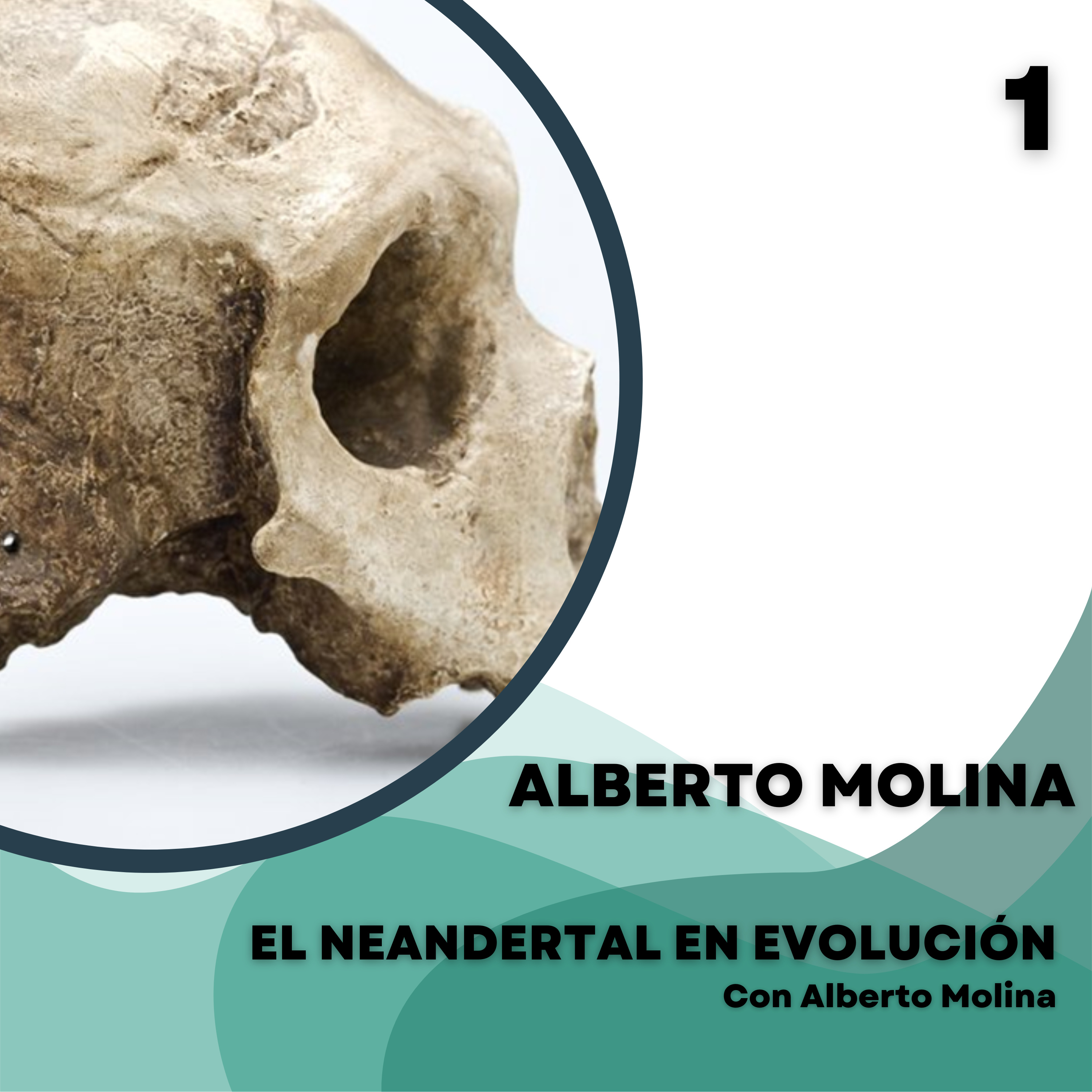 Portada de El Neandertal en evolución