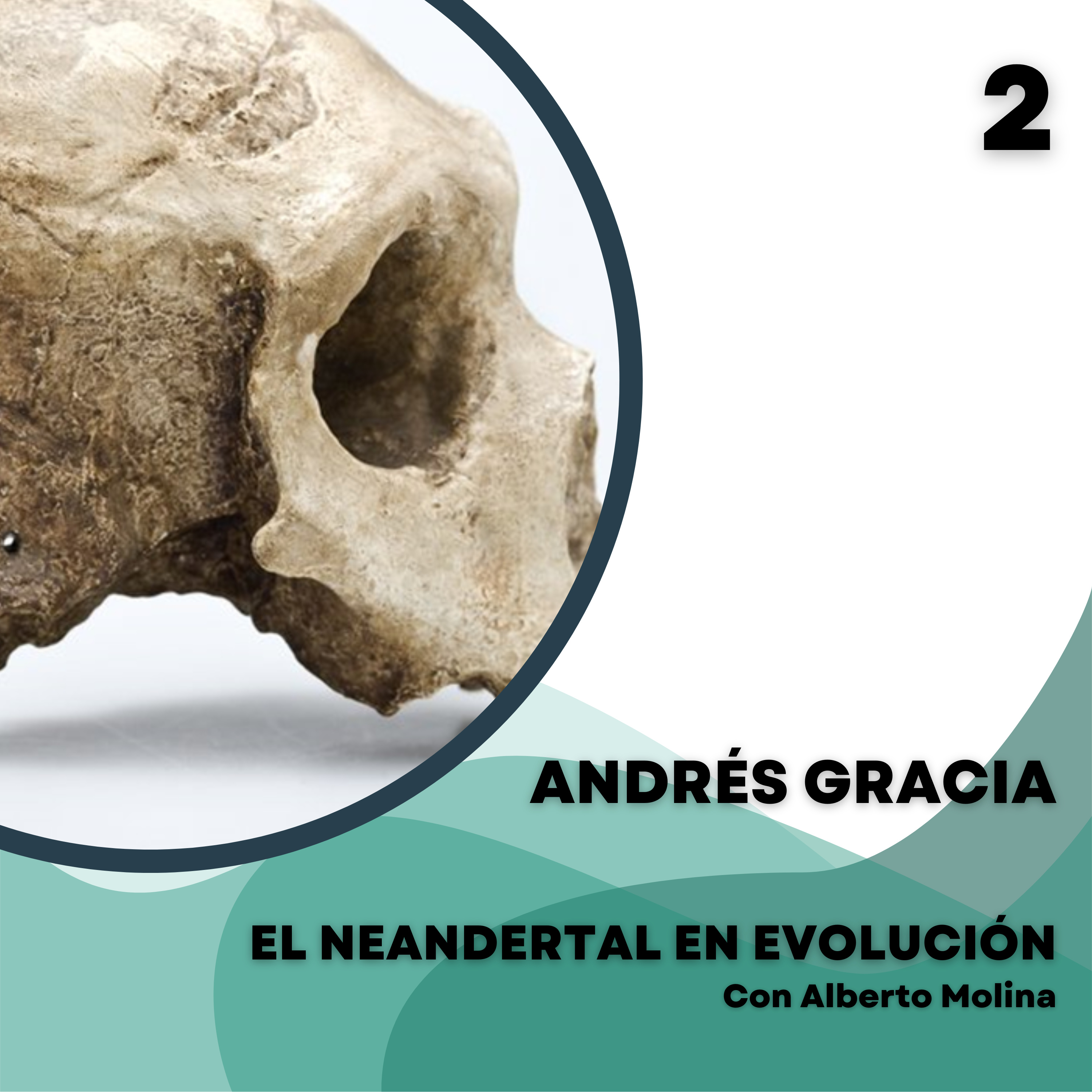 El Neandertal en evolución