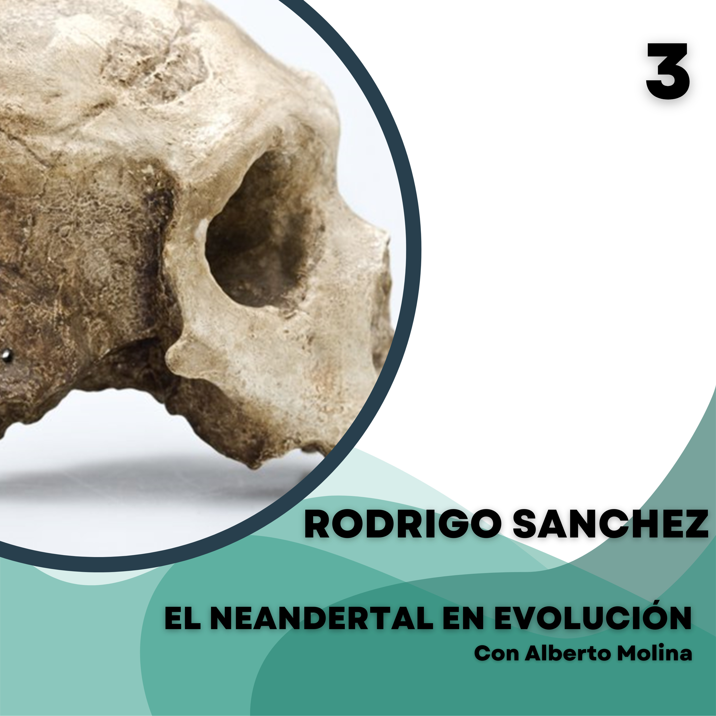 El Neandertal en evolución