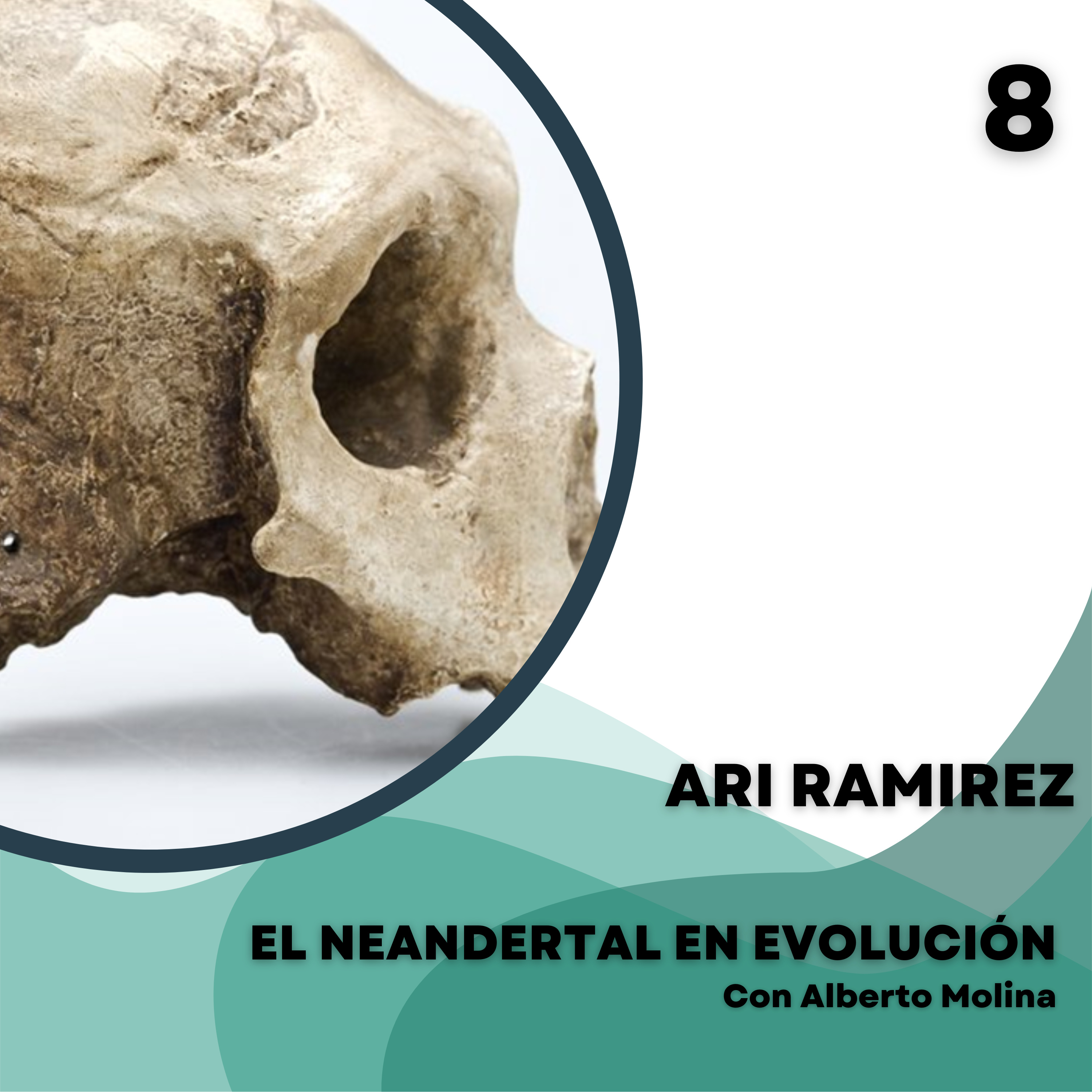 El Neandertal en evolución